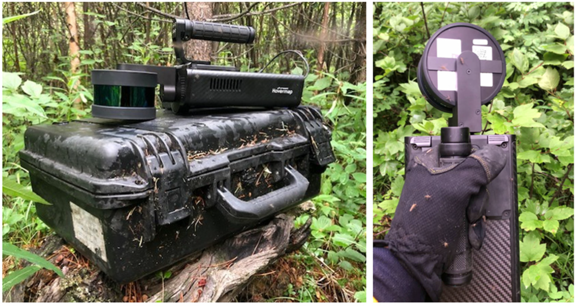 Forests 13 01743 g002 Forests 13 01743 g002