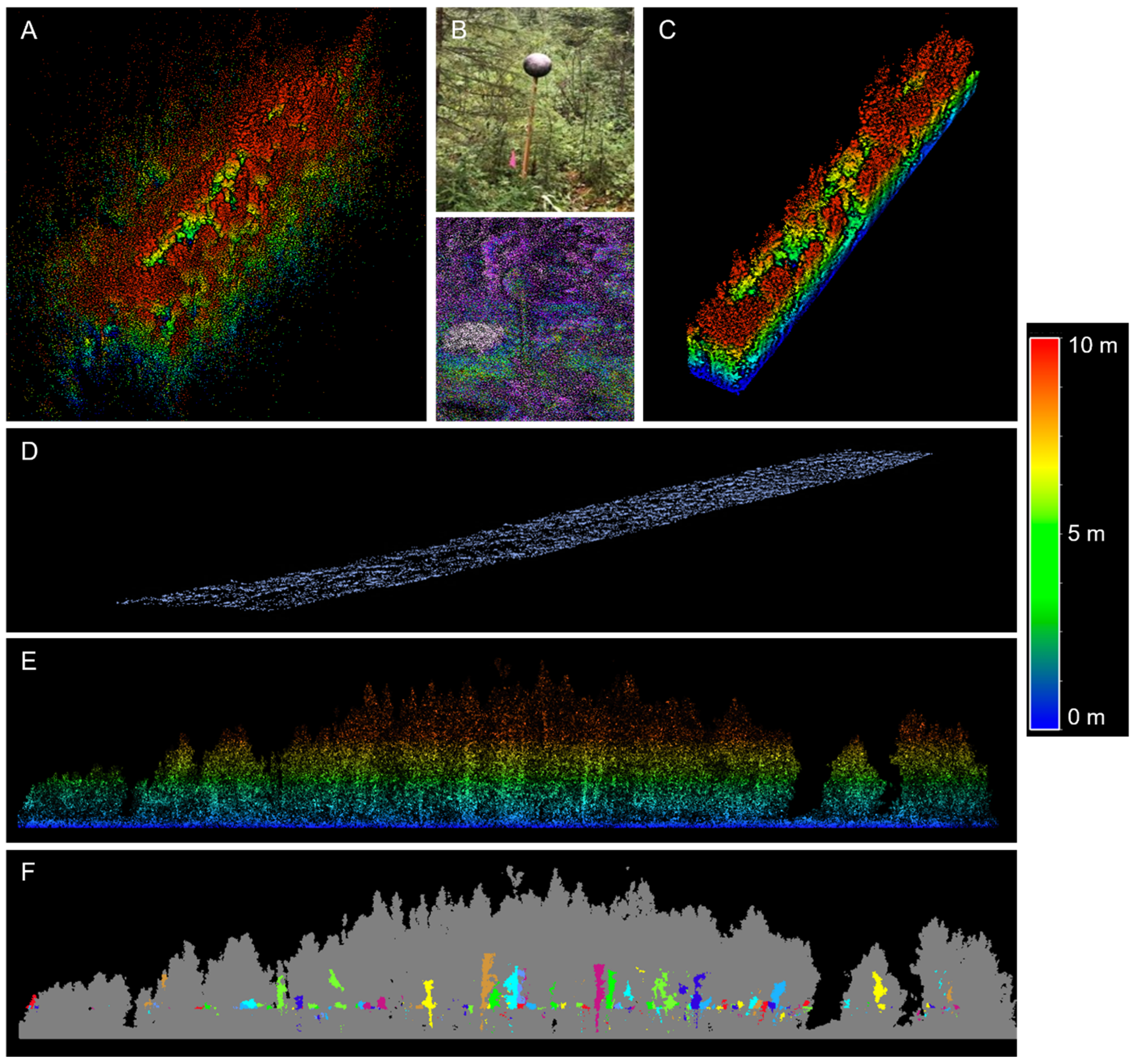 Forests 13 01743 g003 Forests 13 01743 g003