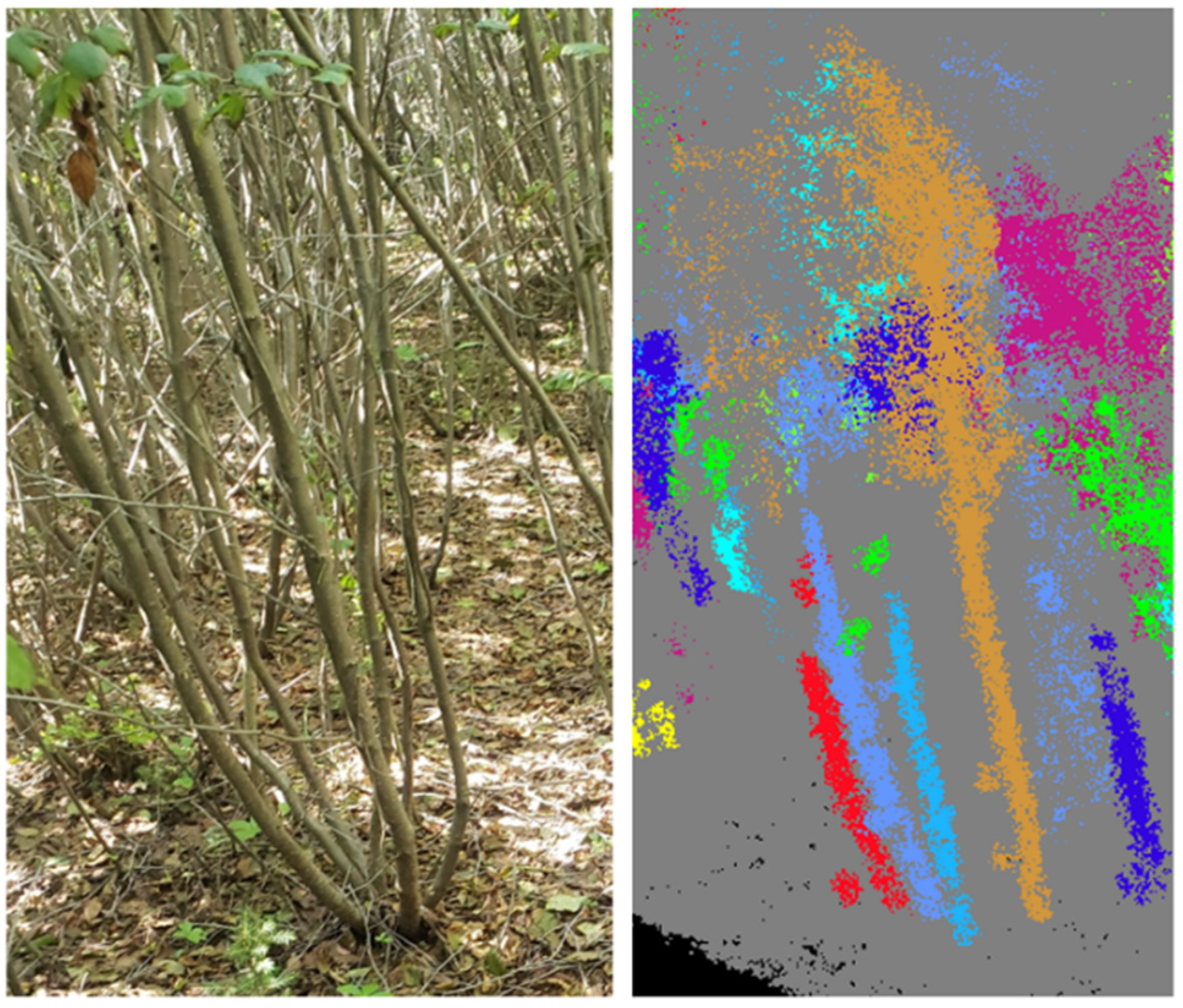 Forests 13 01743 g005 Forests 13 01743 g005