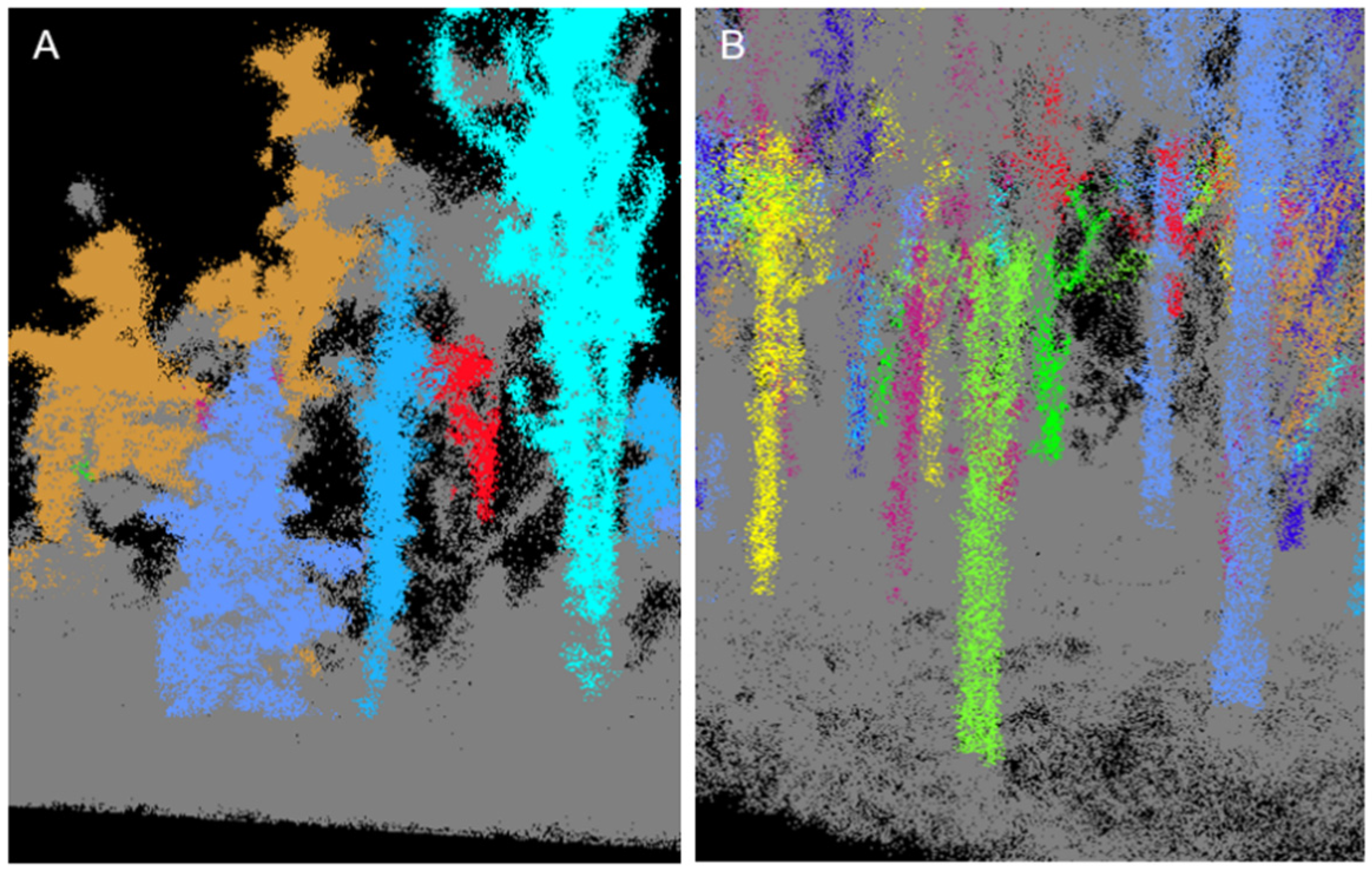 Forests 13 01743 g007 Forests 13 01743 g007