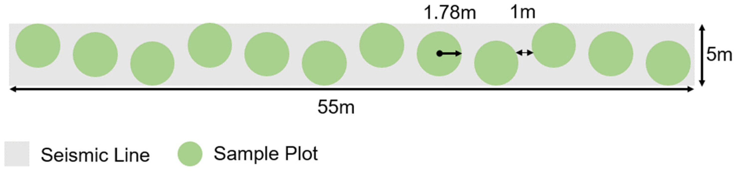 Forests 13 01743 g0a2 Forests 13 01743 g0a2