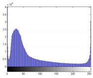 Forests 13 01746 i002 Forests 13 01746 i002