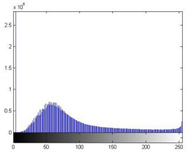 Forests 13 01746 i008 Forests 13 01746 i008