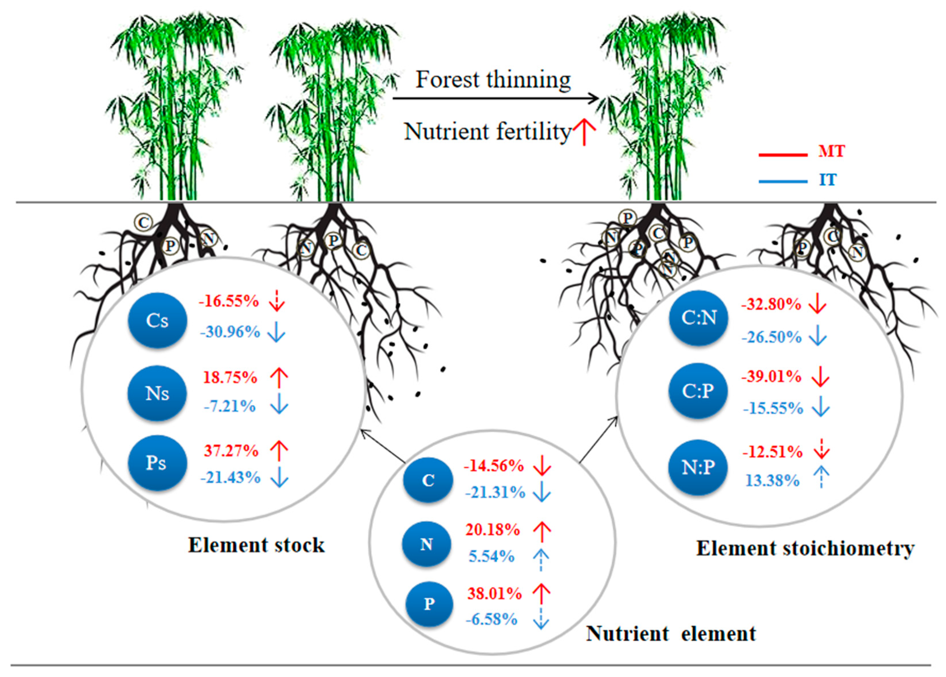 Forests 13 01770 g007