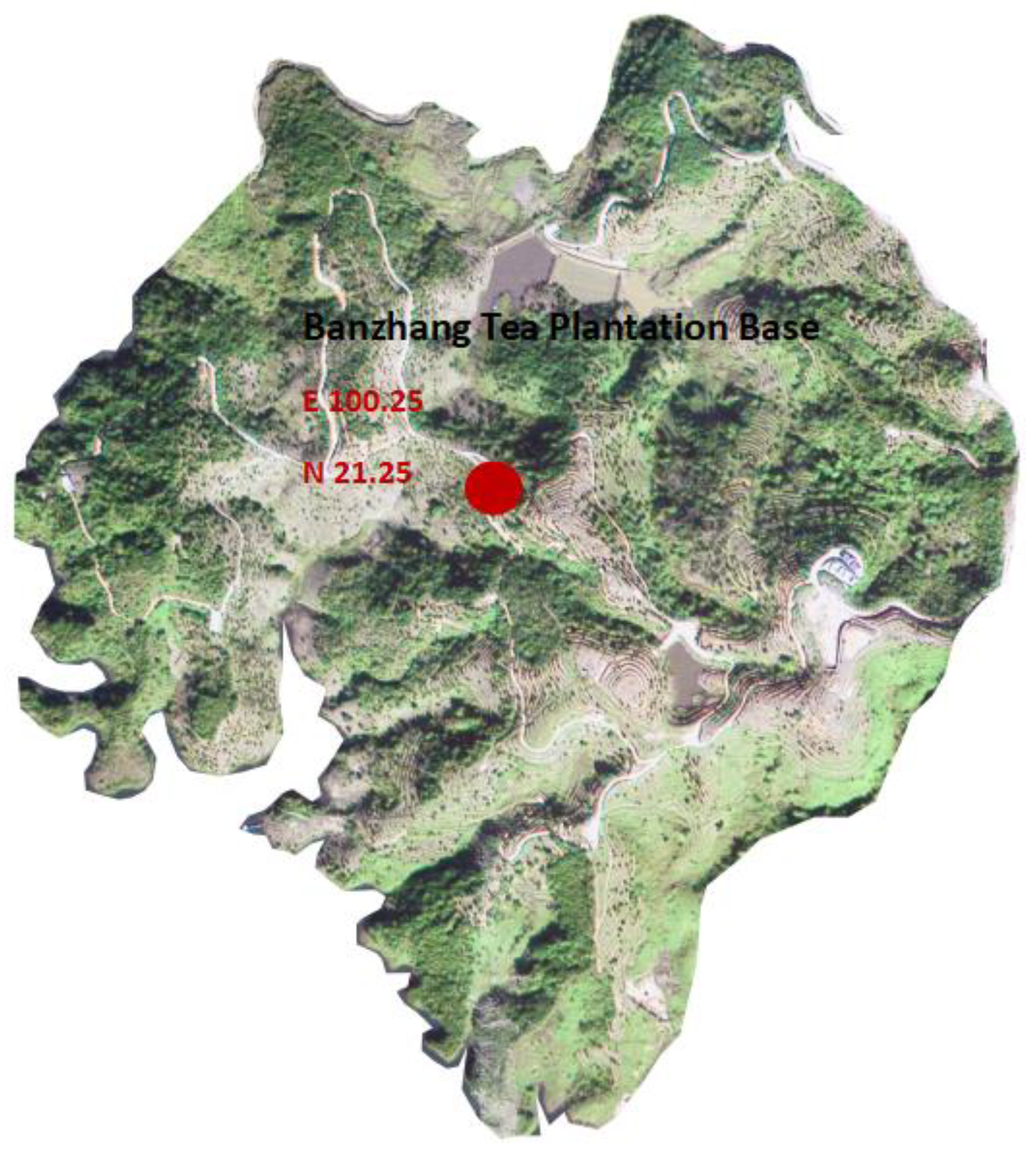 Forests 13 01778 g001