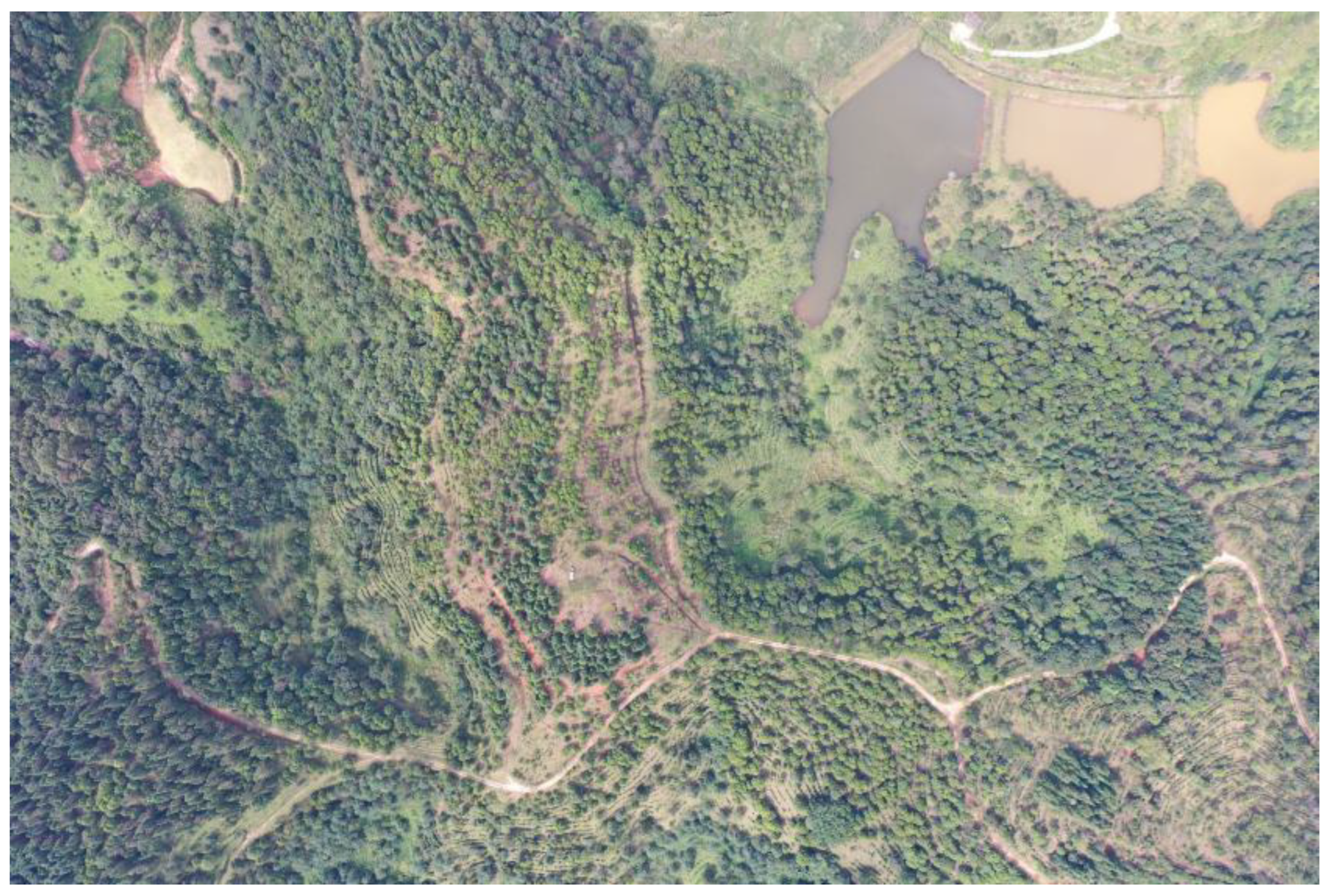 Forests 13 01778 g002