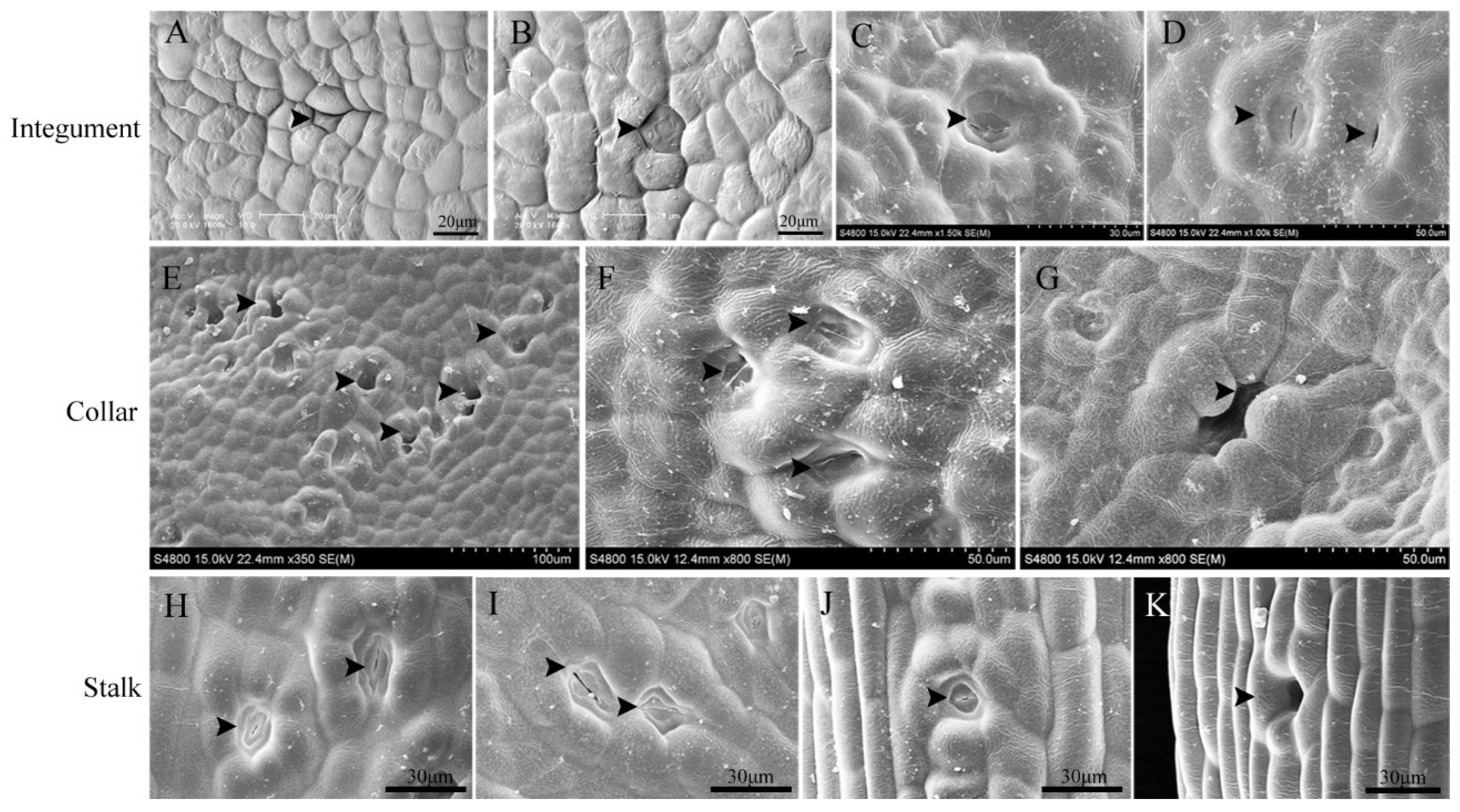 Forests 13 01801 g002