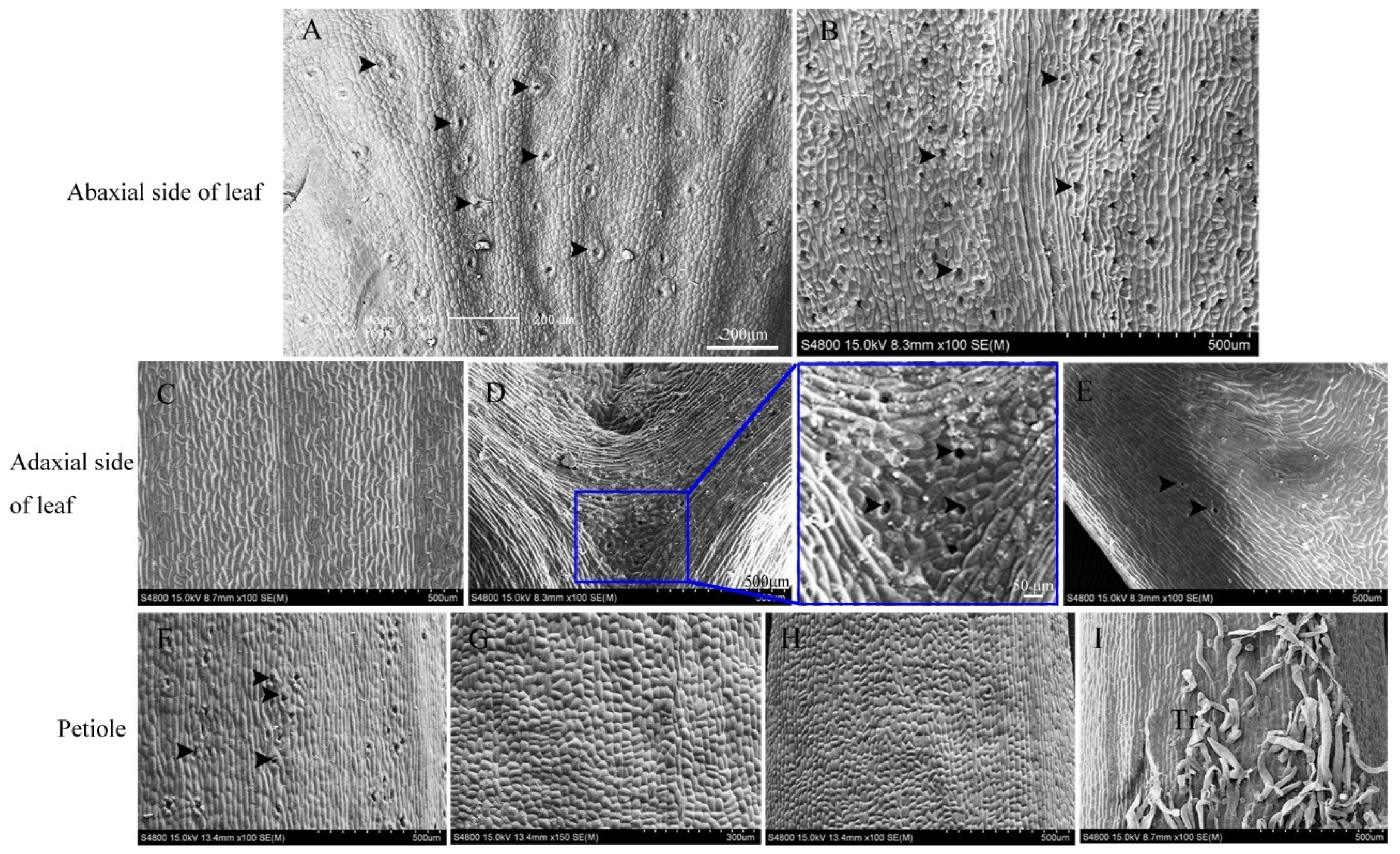 Forests 13 01801 g003