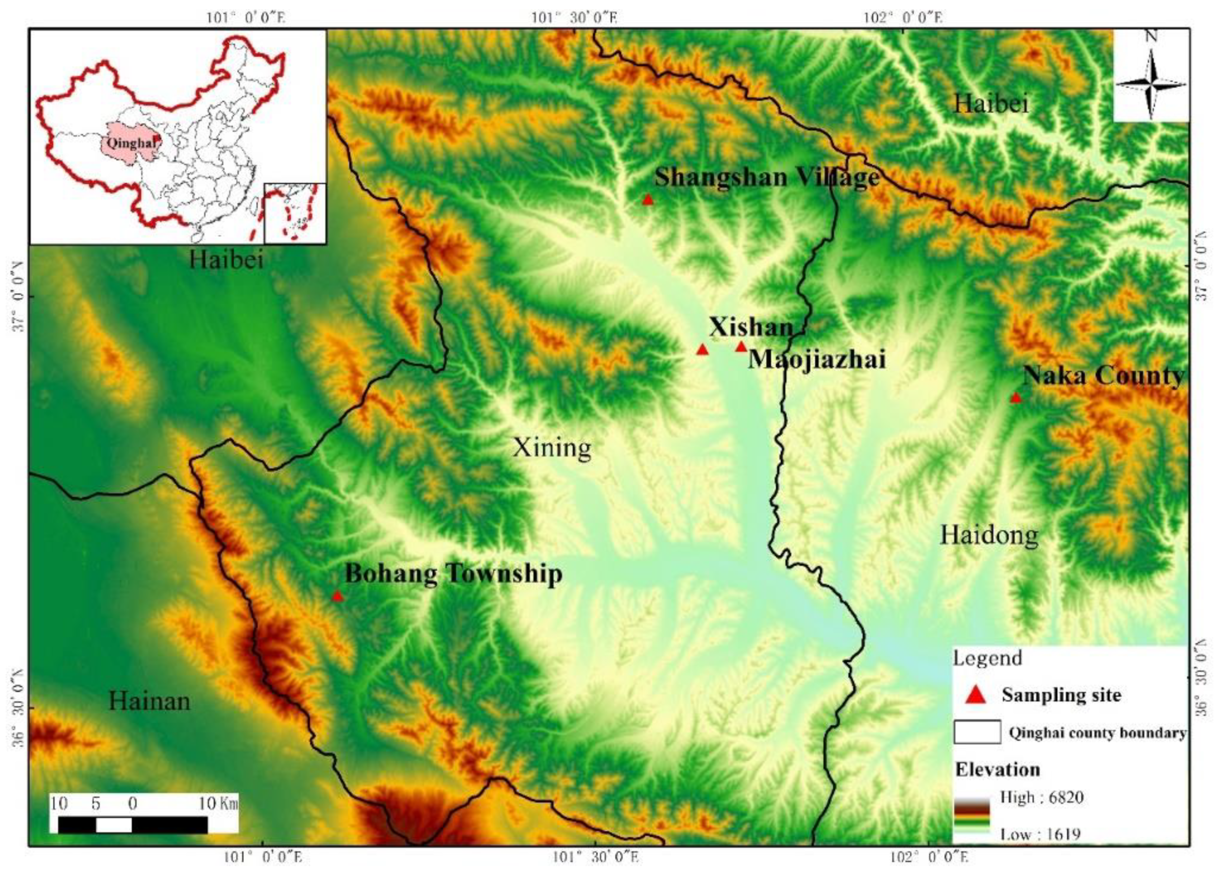 Forests | Free Full-Text | Study on Biomass Models of Artificial 