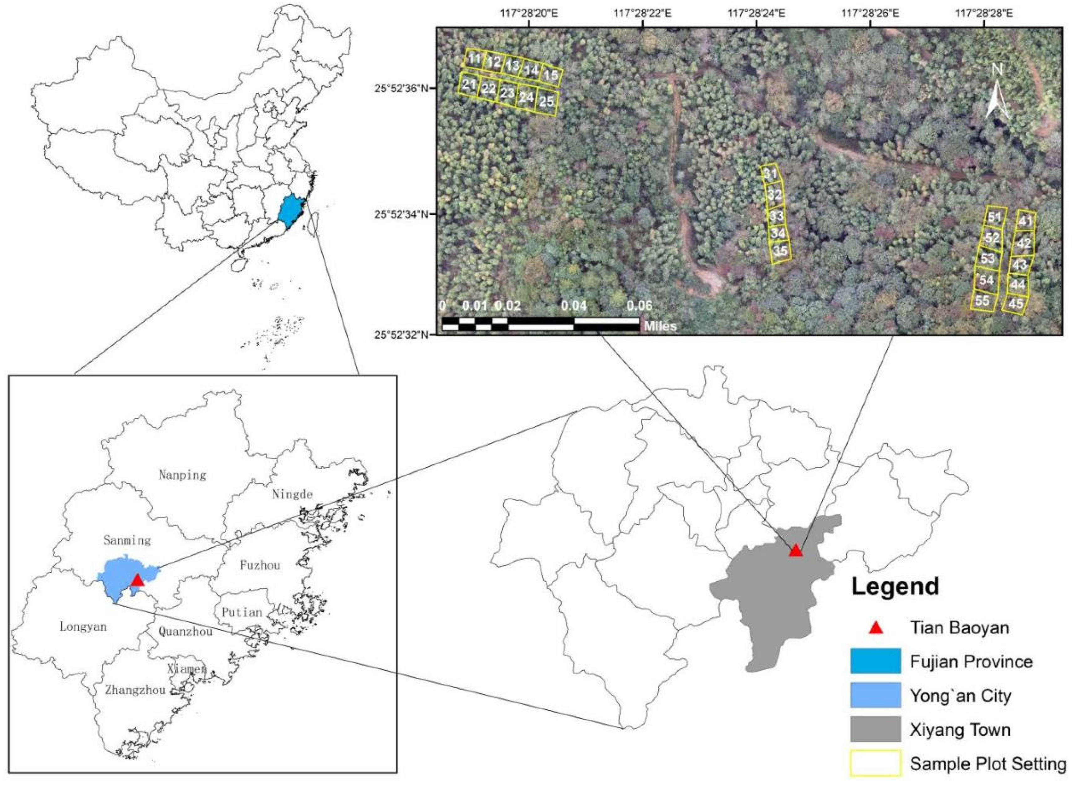 Forests 13 01830 g001 Forests 13 01830 g001