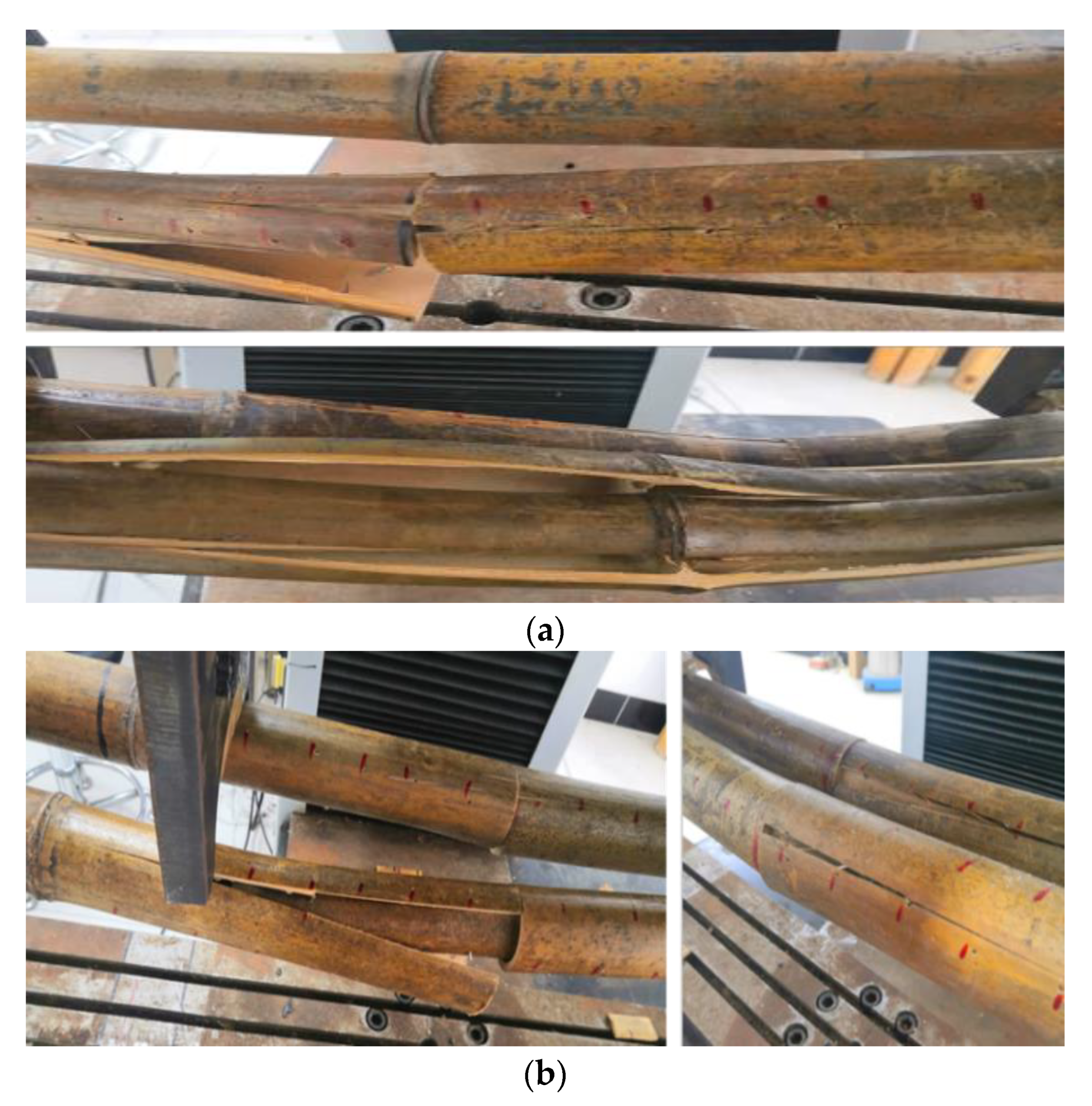 Forests 13 01851 g010a