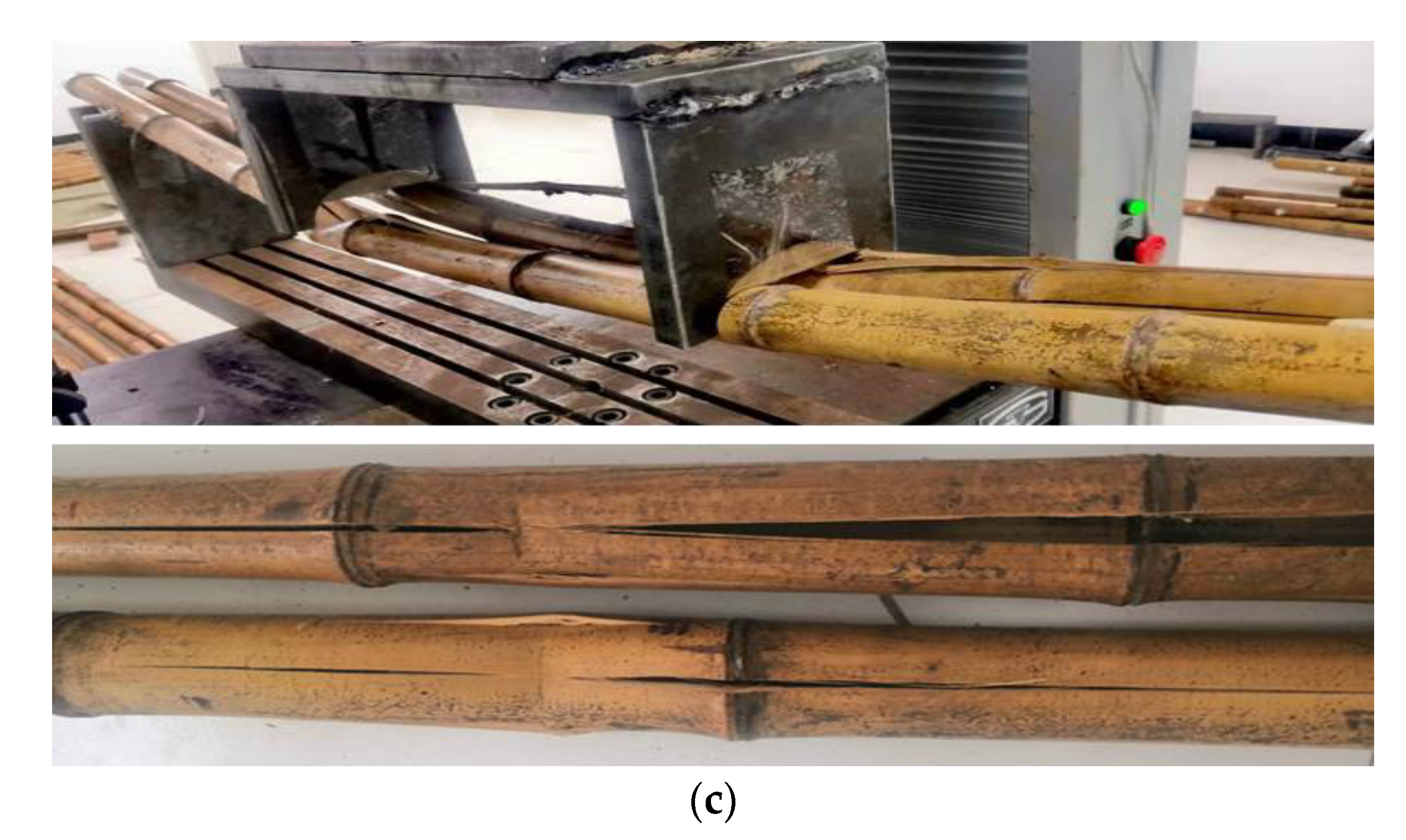 Forests 13 01851 g010b