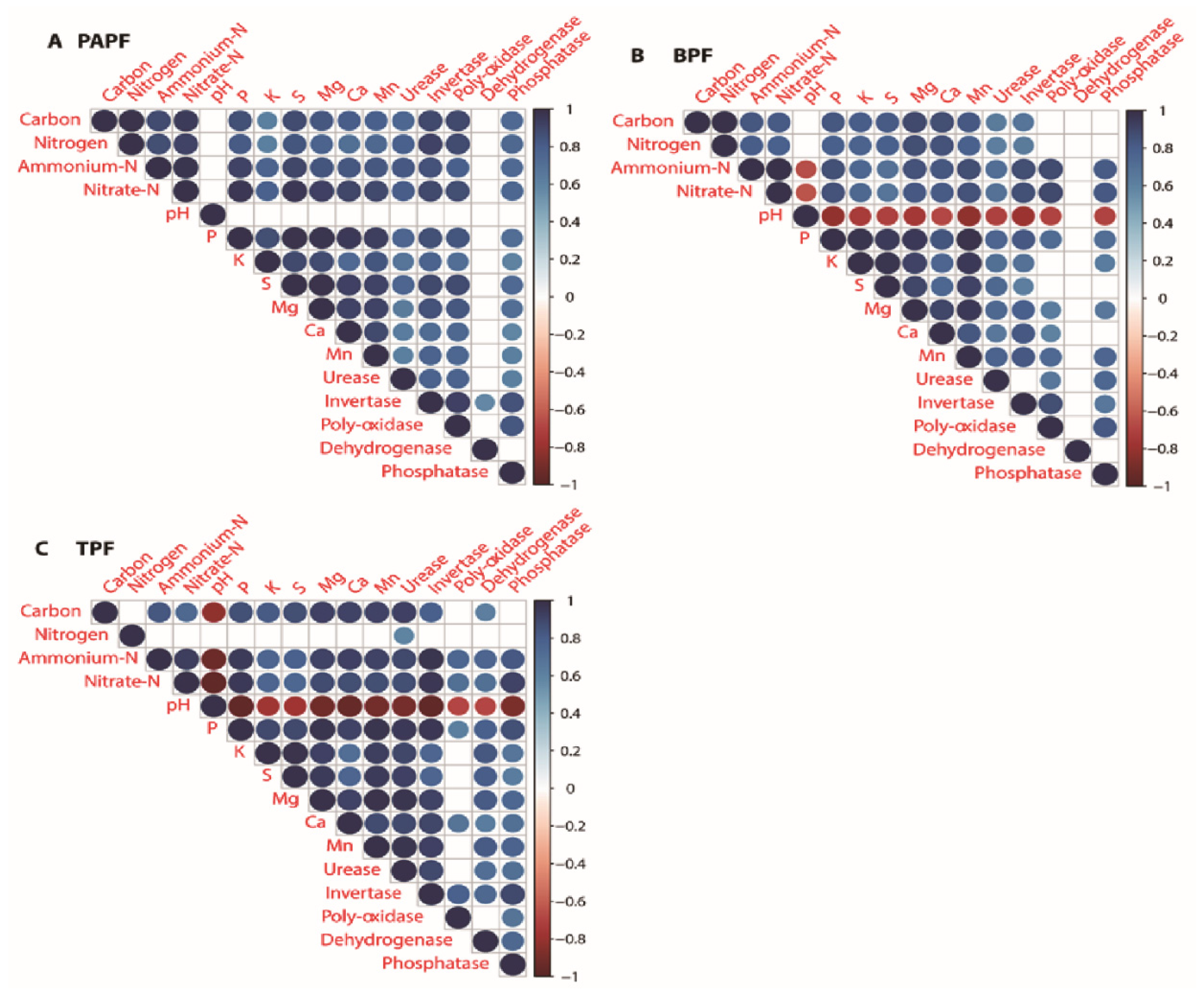 Physical and chemical properties of Coarse Woody Debris submitted to the  natural process of decomposition in a Secondary Atlantic Forest Fragment in  Brazil