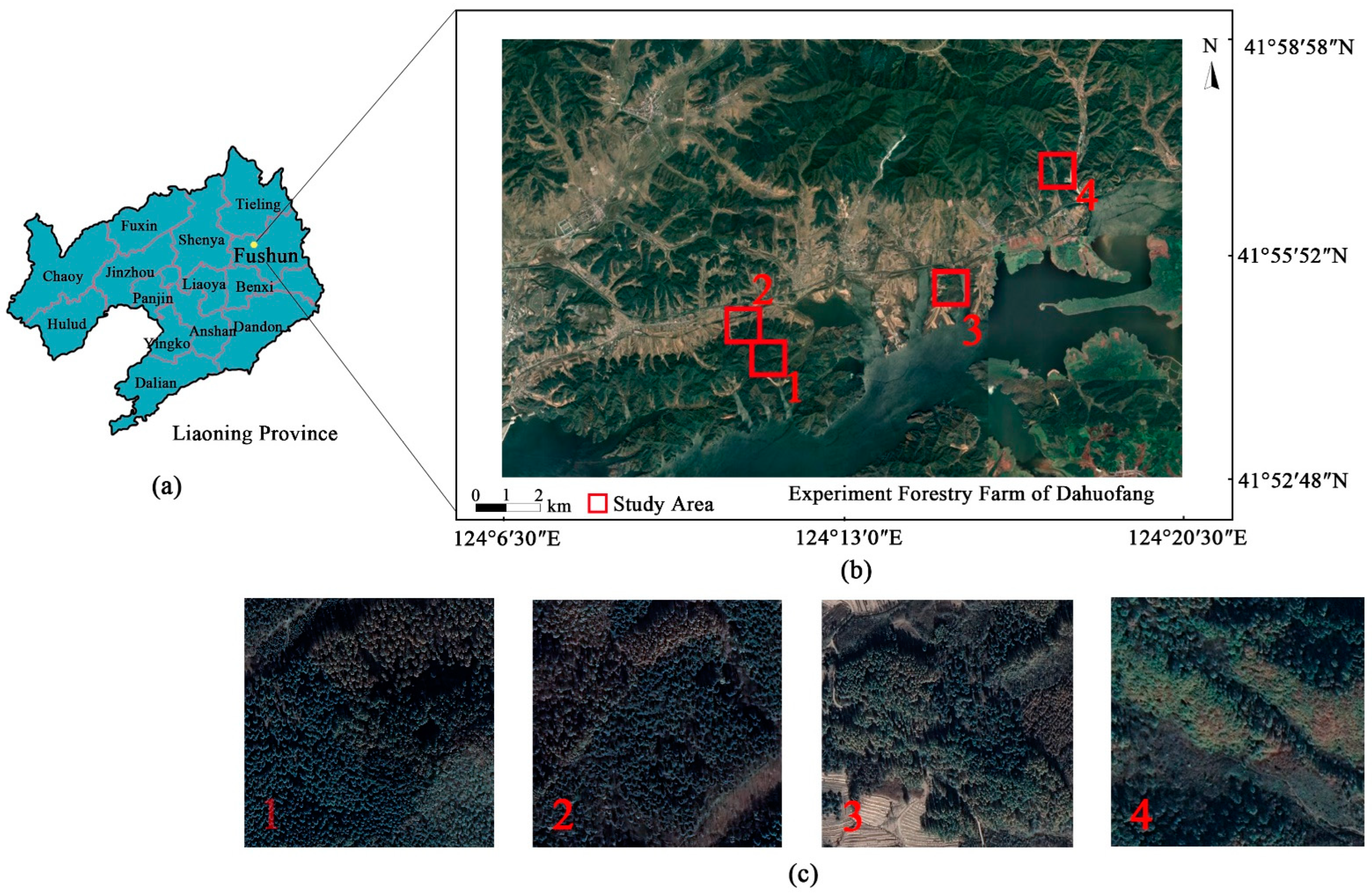 Forests 13 01880 g001 Forests 13 01880 g001