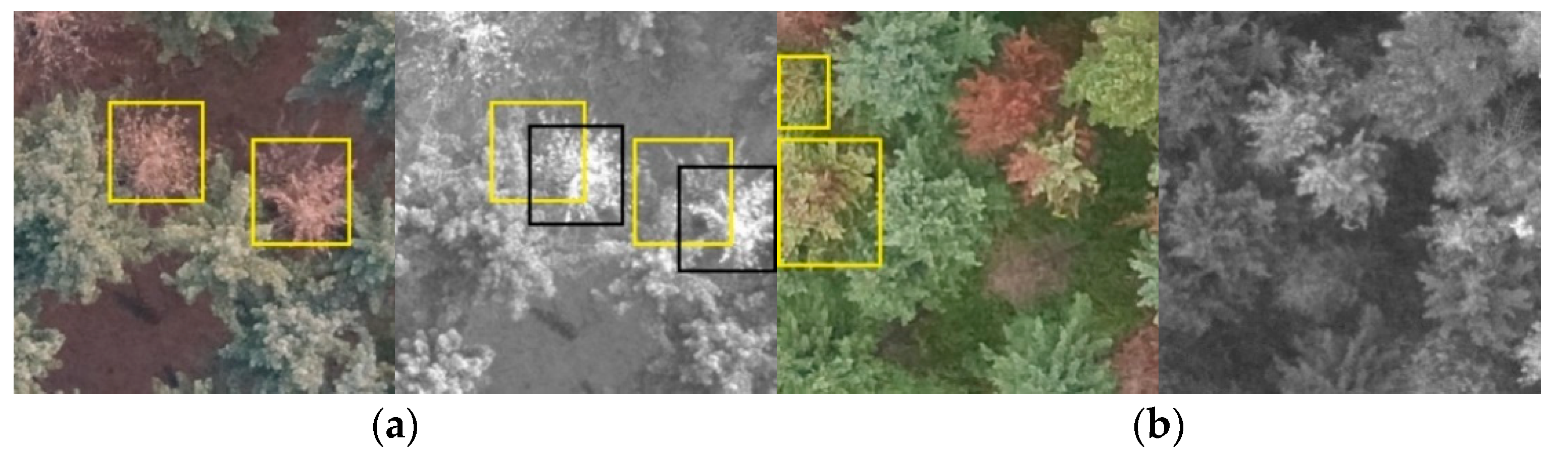 Forests 13 01880 g006 Forests 13 01880 g006