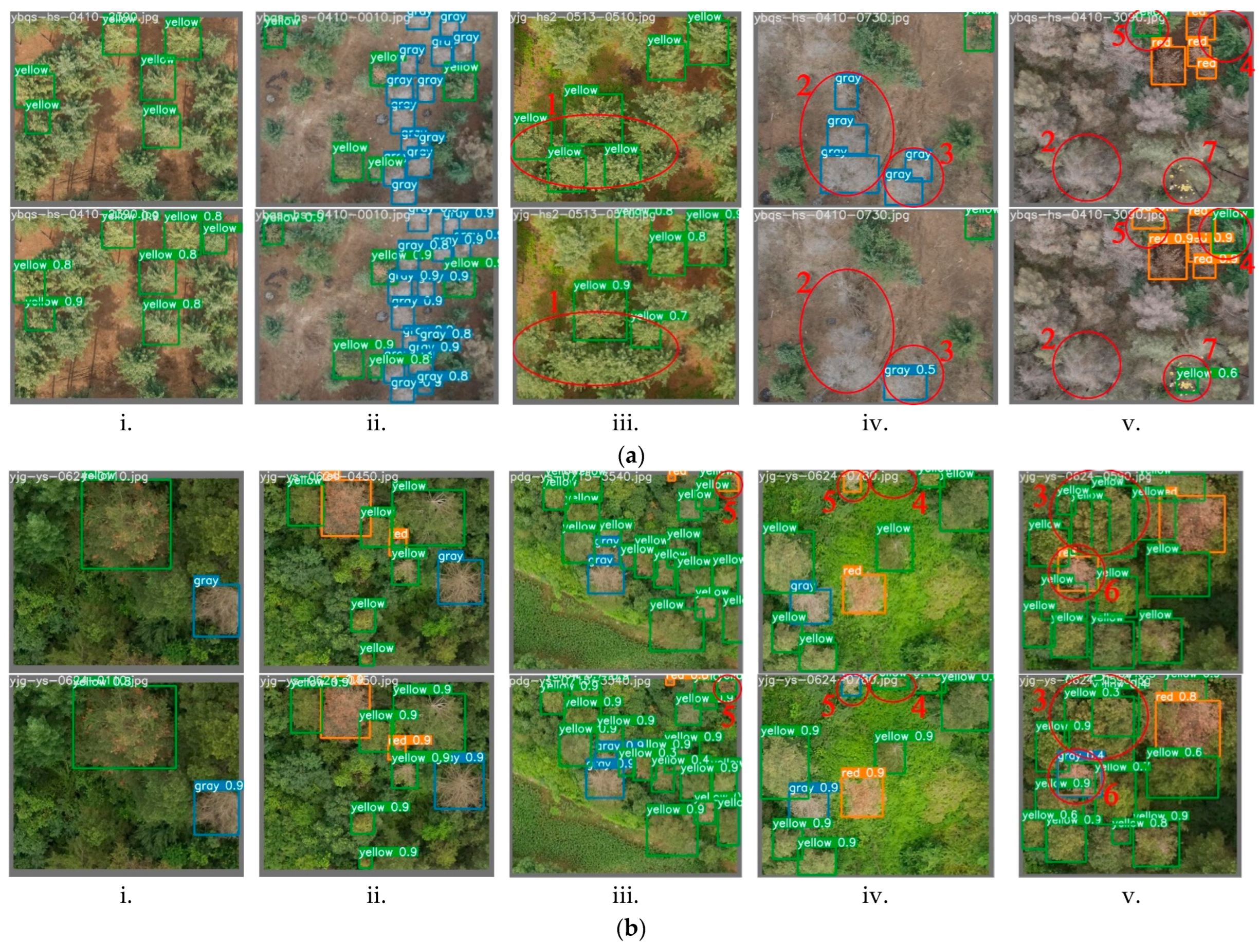 Forests 13 01880 g012 Forests 13 01880 g012