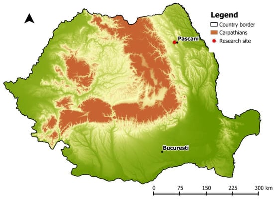 Forests | Free Full-Text | Measuring Distances and Areas under Forest ...