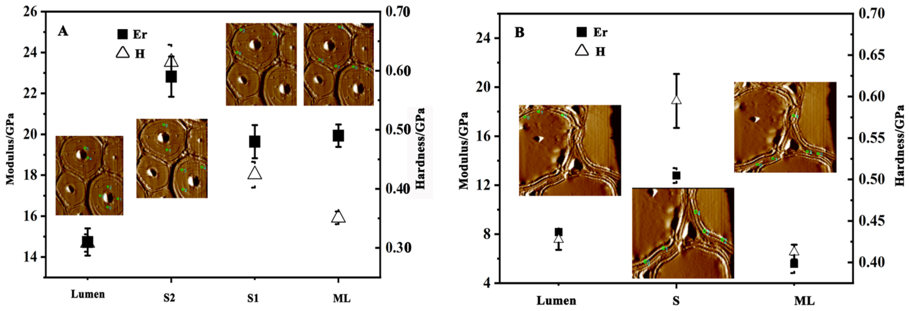 Forests 13 01897 g004