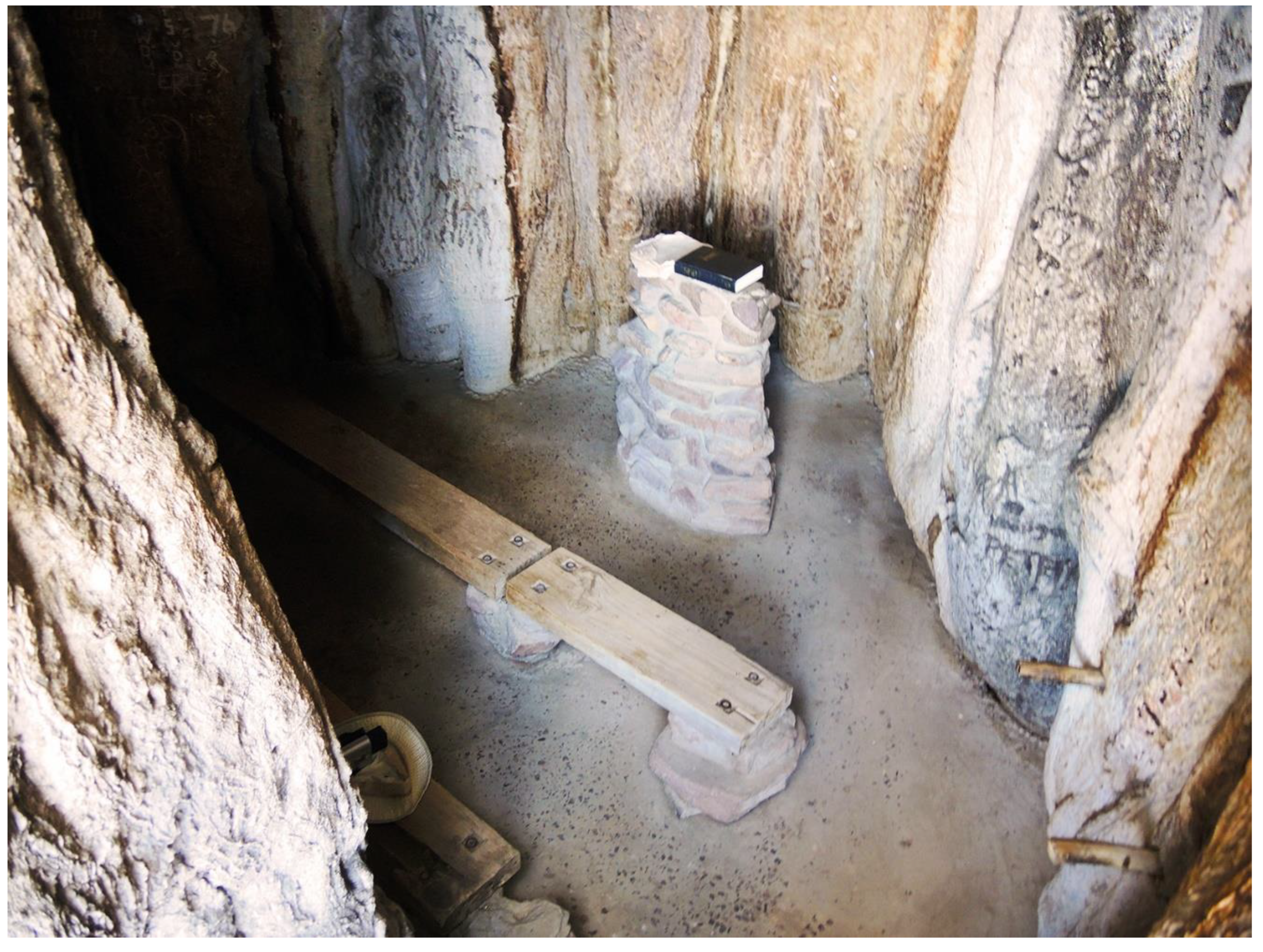 Forests 13 01899 g003 Forests 13 01899 g003