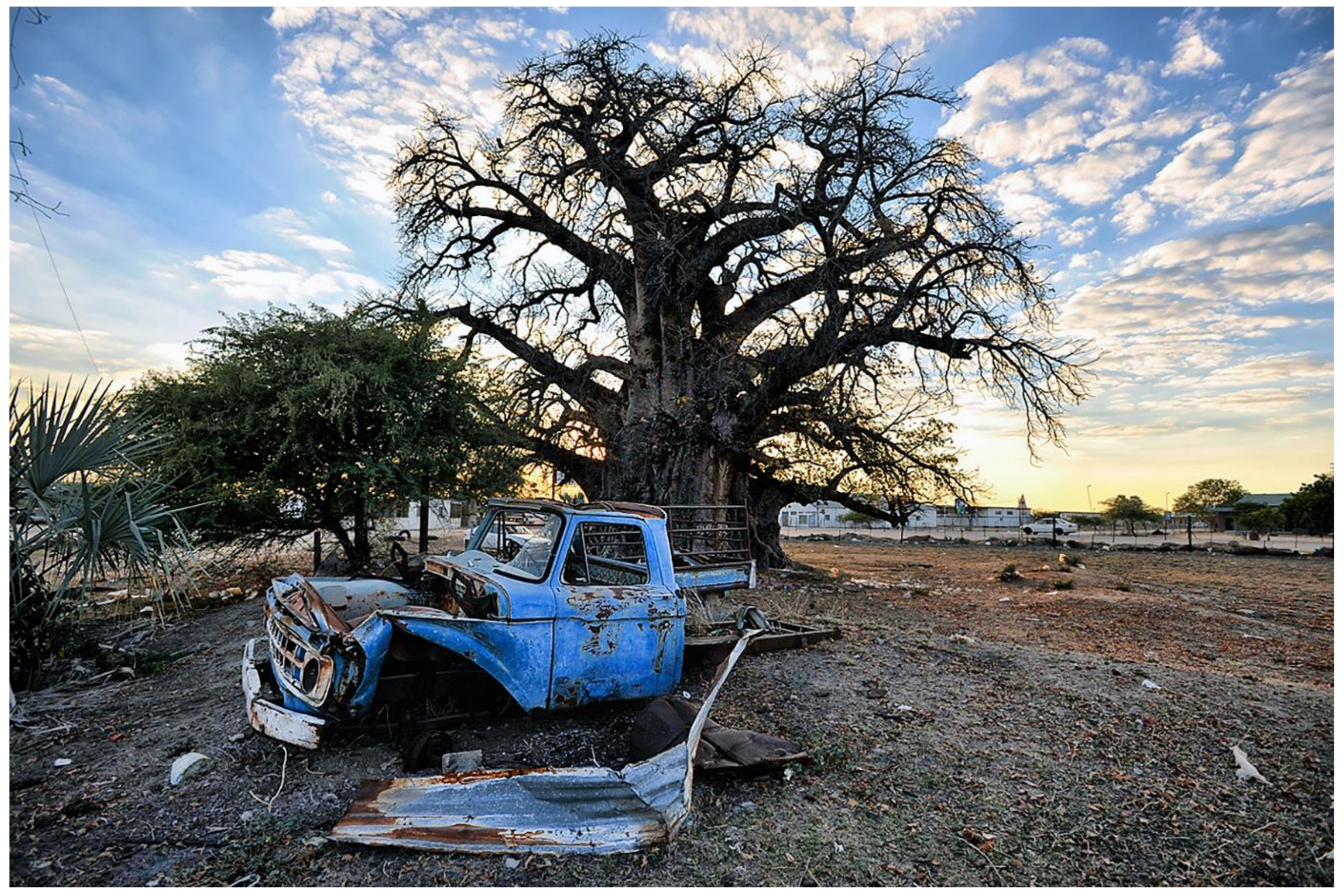 Forests 13 01899 g004 Forests 13 01899 g004