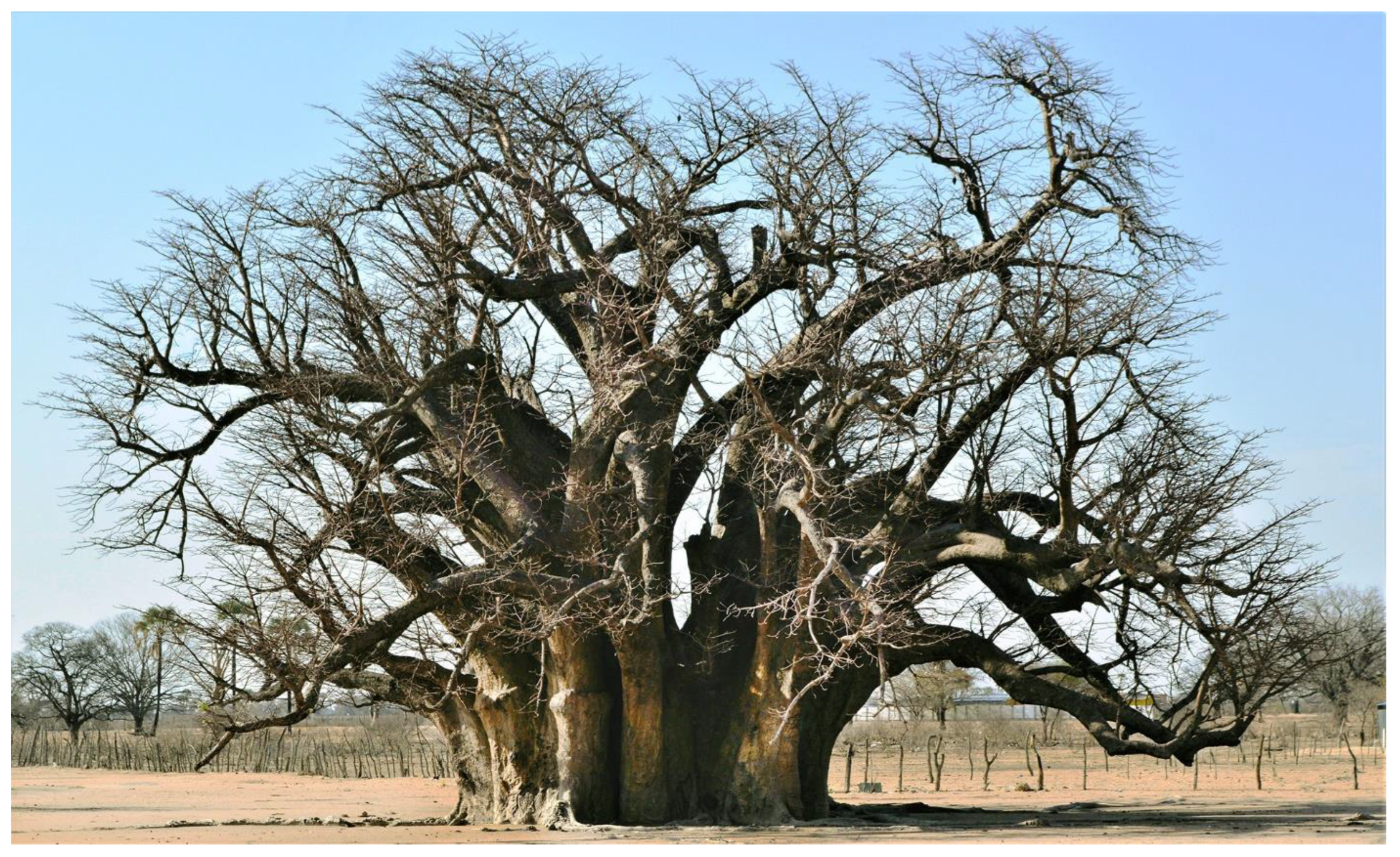 Forests 13 01899 g007 Forests 13 01899 g007