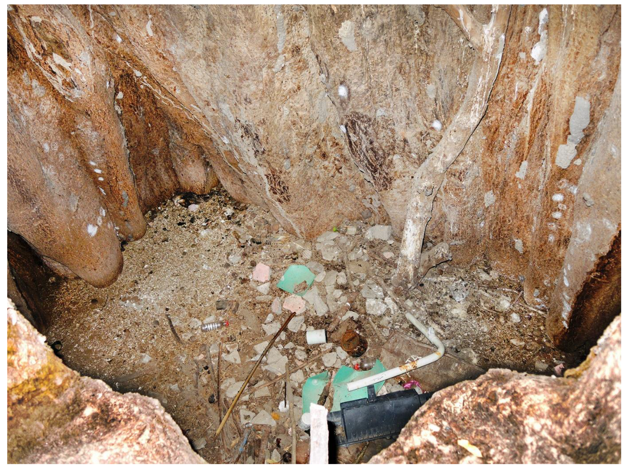 Forests 13 01899 g012 Forests 13 01899 g012