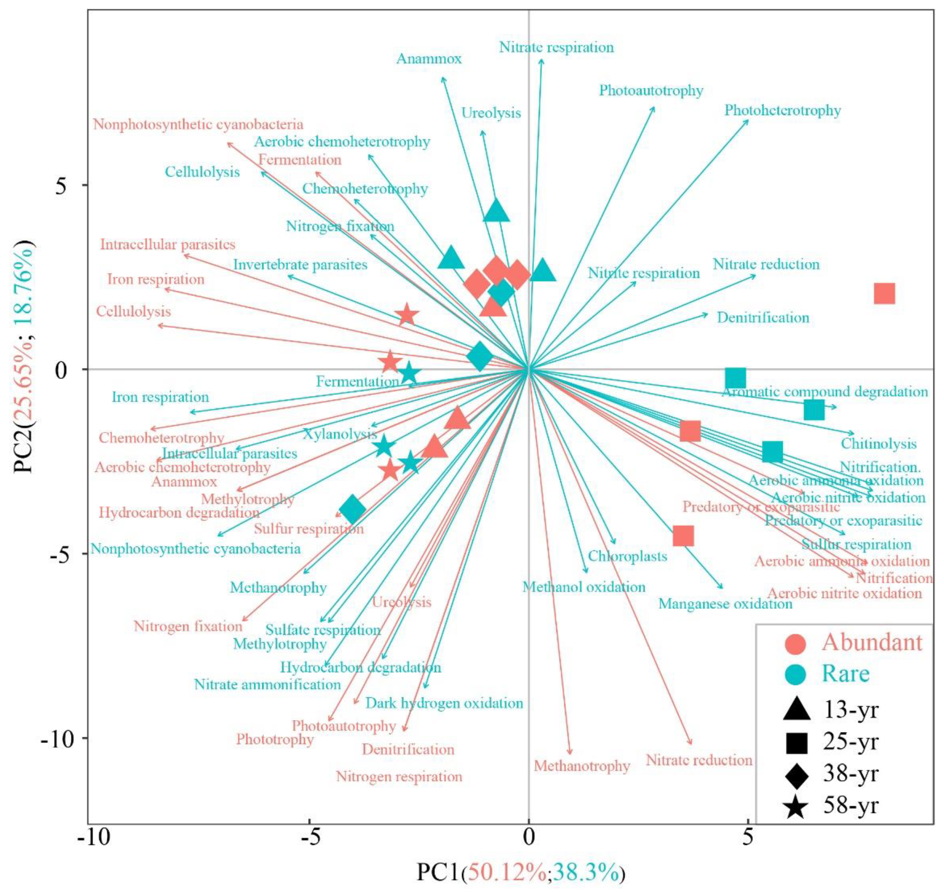 Forests 13 01904 g004