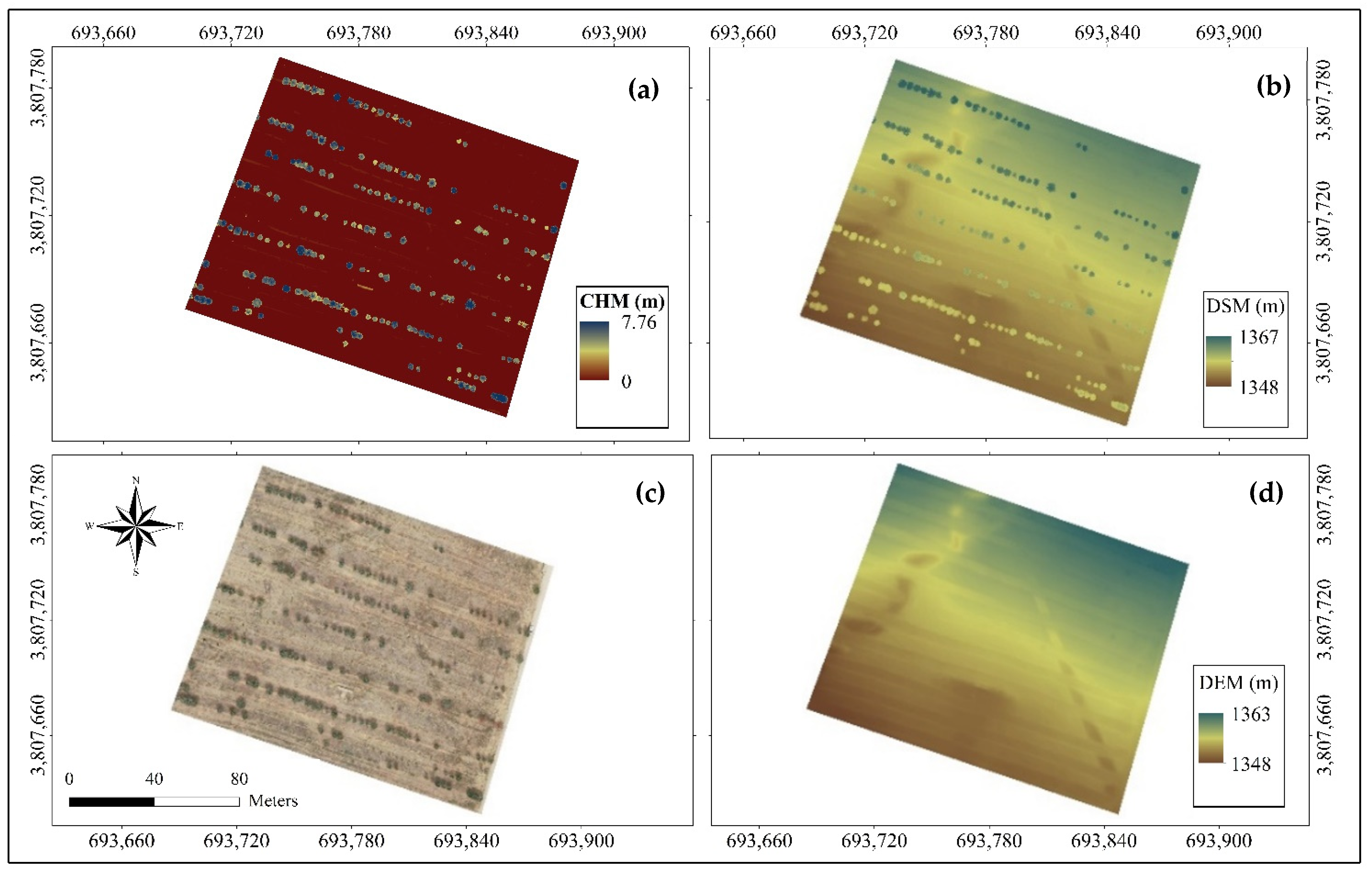 Forests 13 01905 g003 Forests 13 01905 g003