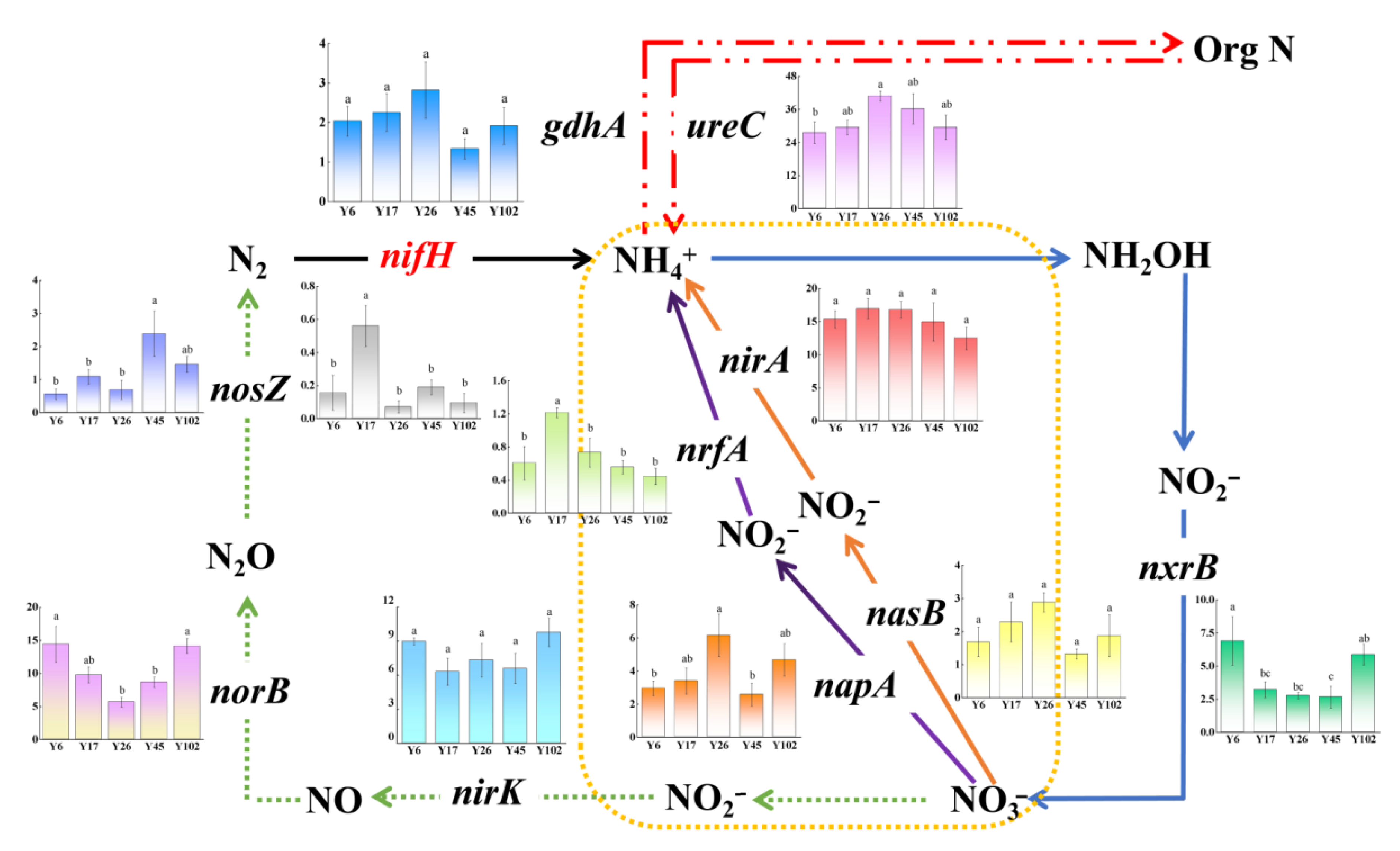 Forests 13 01906 g004 Forests 13 01906 g004