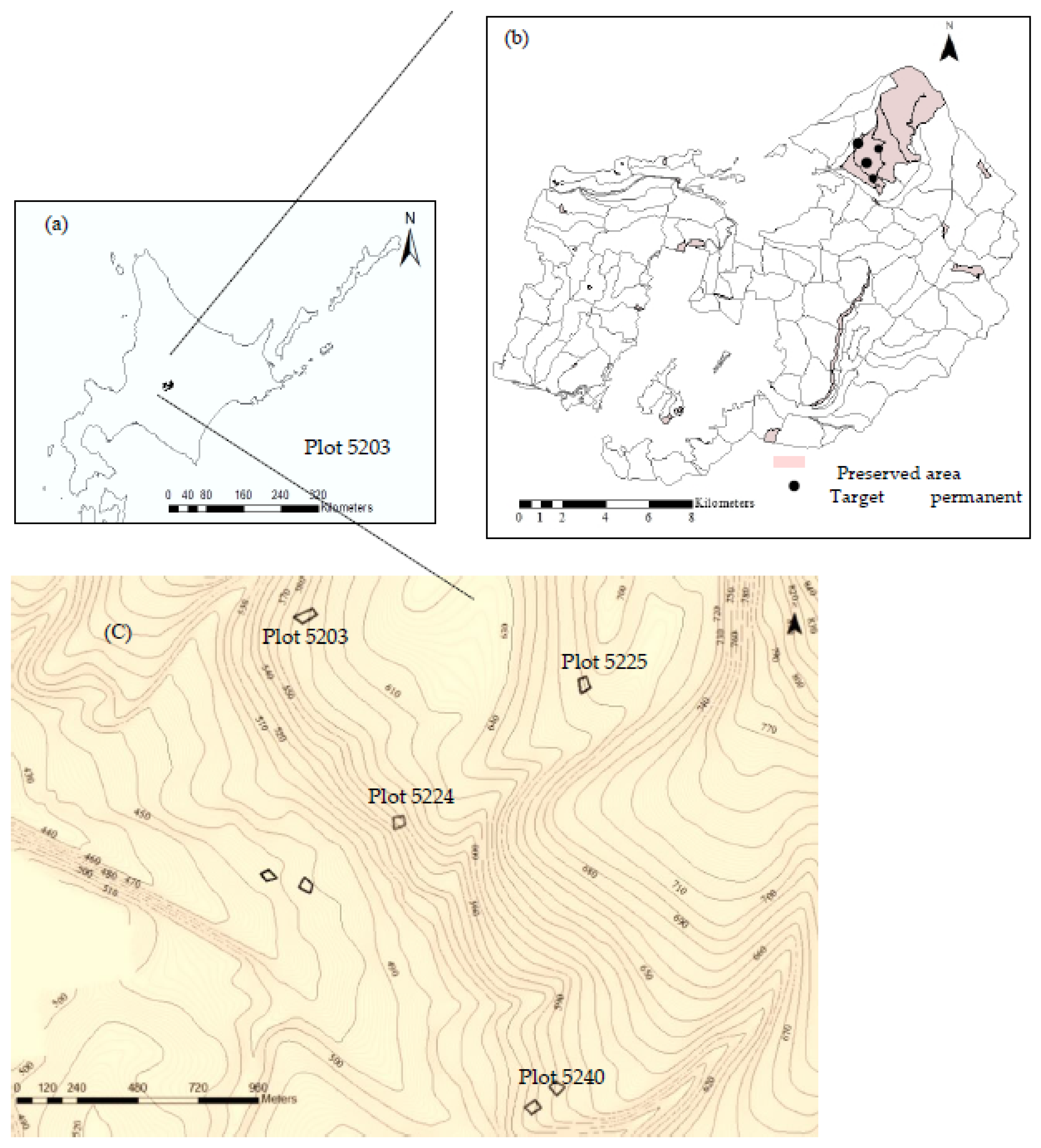 Forests | Free Full-Text | Predicting the Future Age Distribution