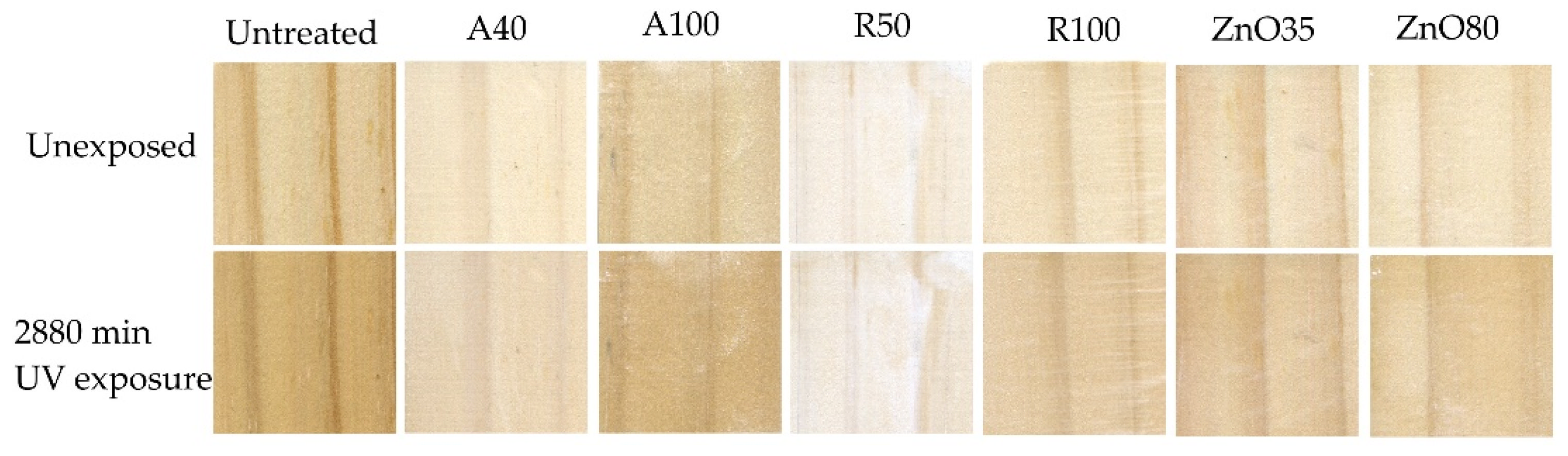 Forests 13 01922 g008