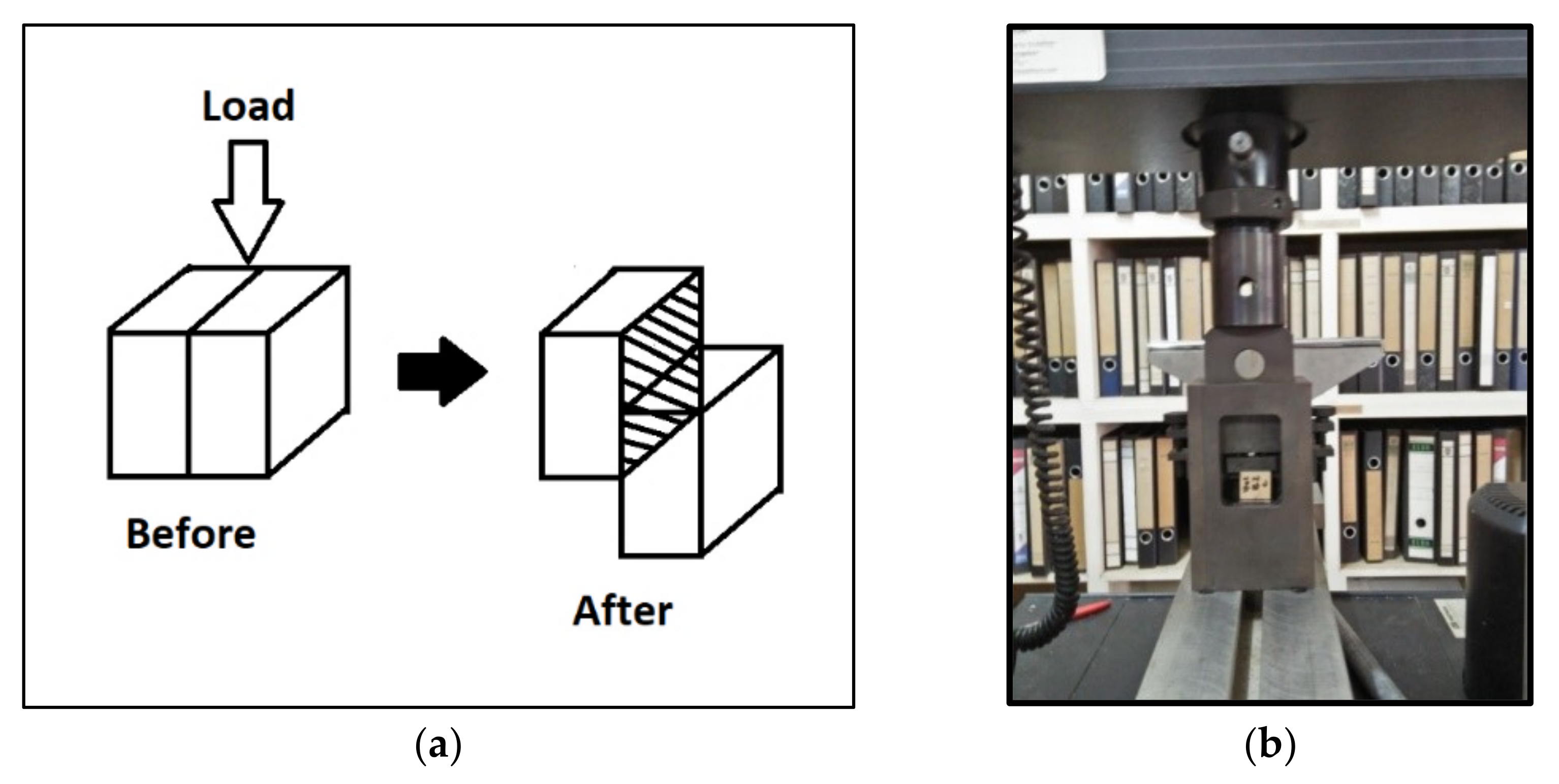 Forests 13 01969 g002 Forests 13 01969 g002