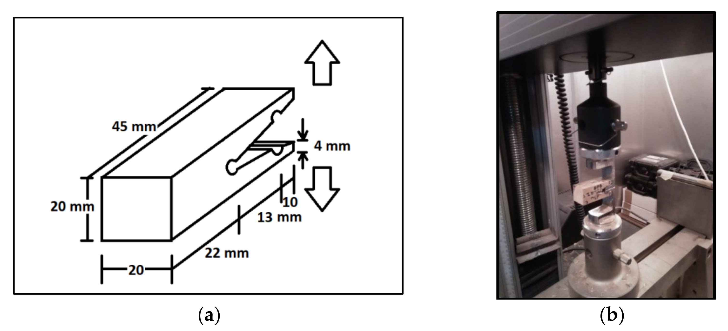 Forests 13 01969 g003 Forests 13 01969 g003