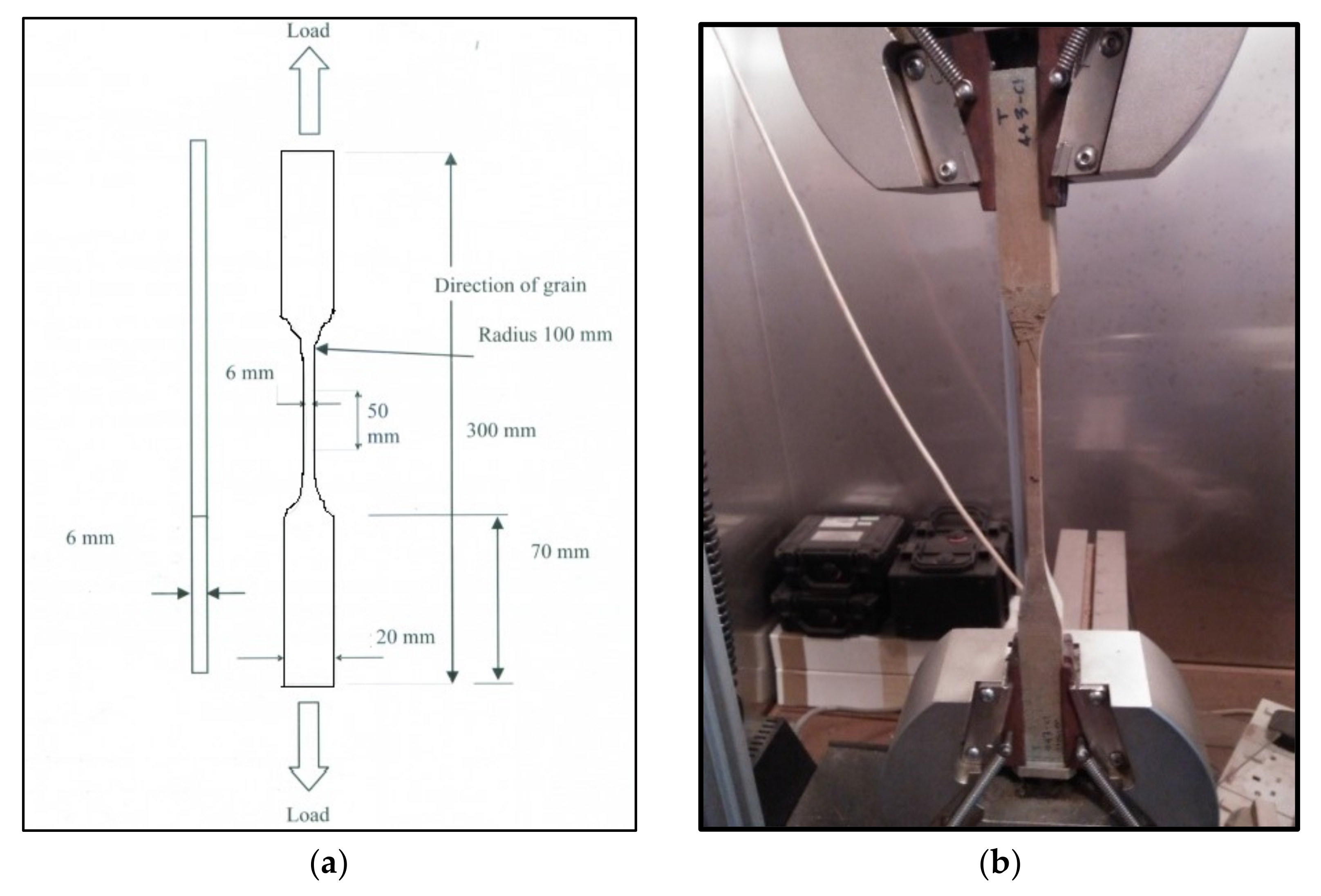 Forests 13 01969 g004 Forests 13 01969 g004