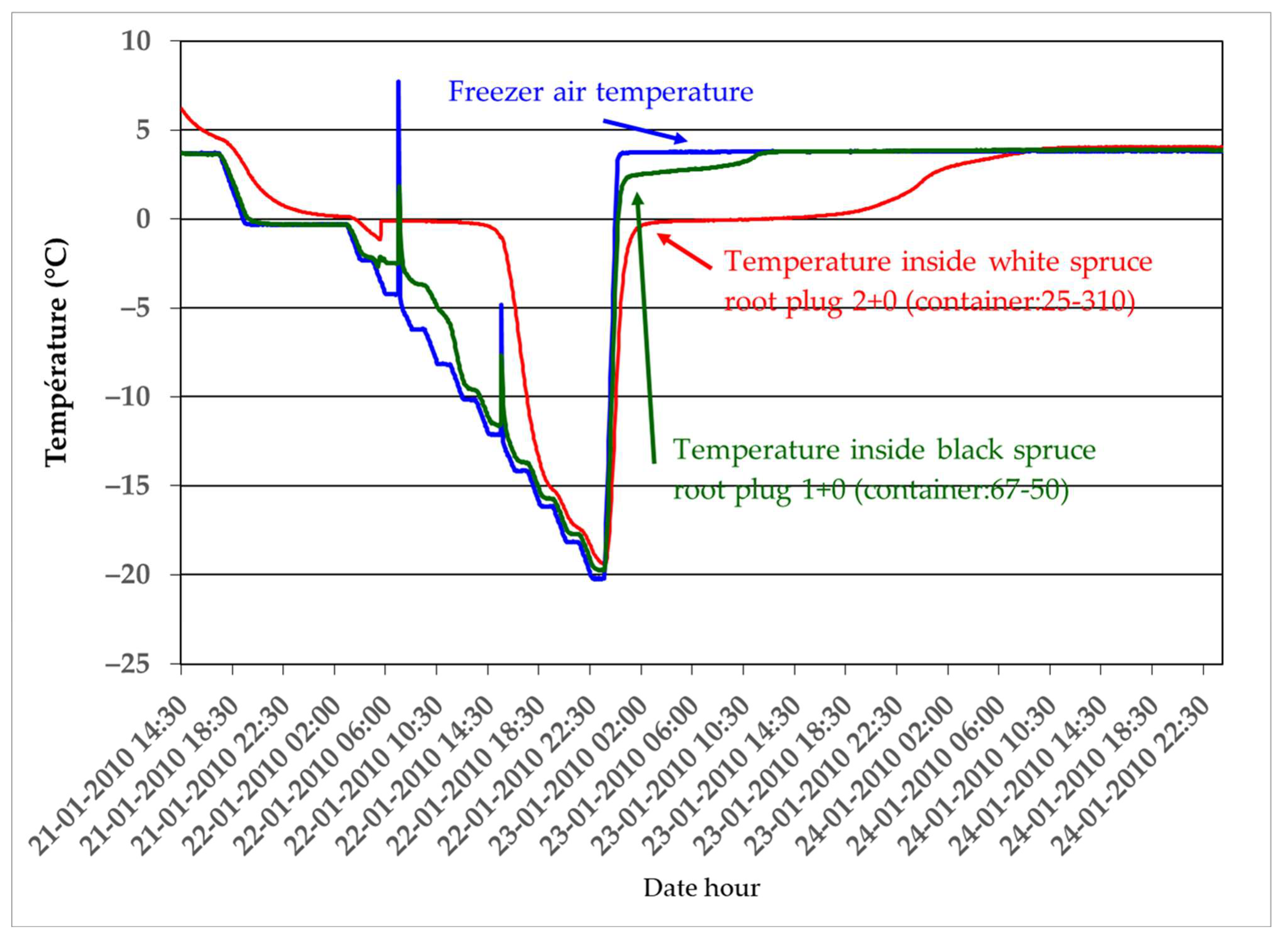 Forests 13 01975 g005