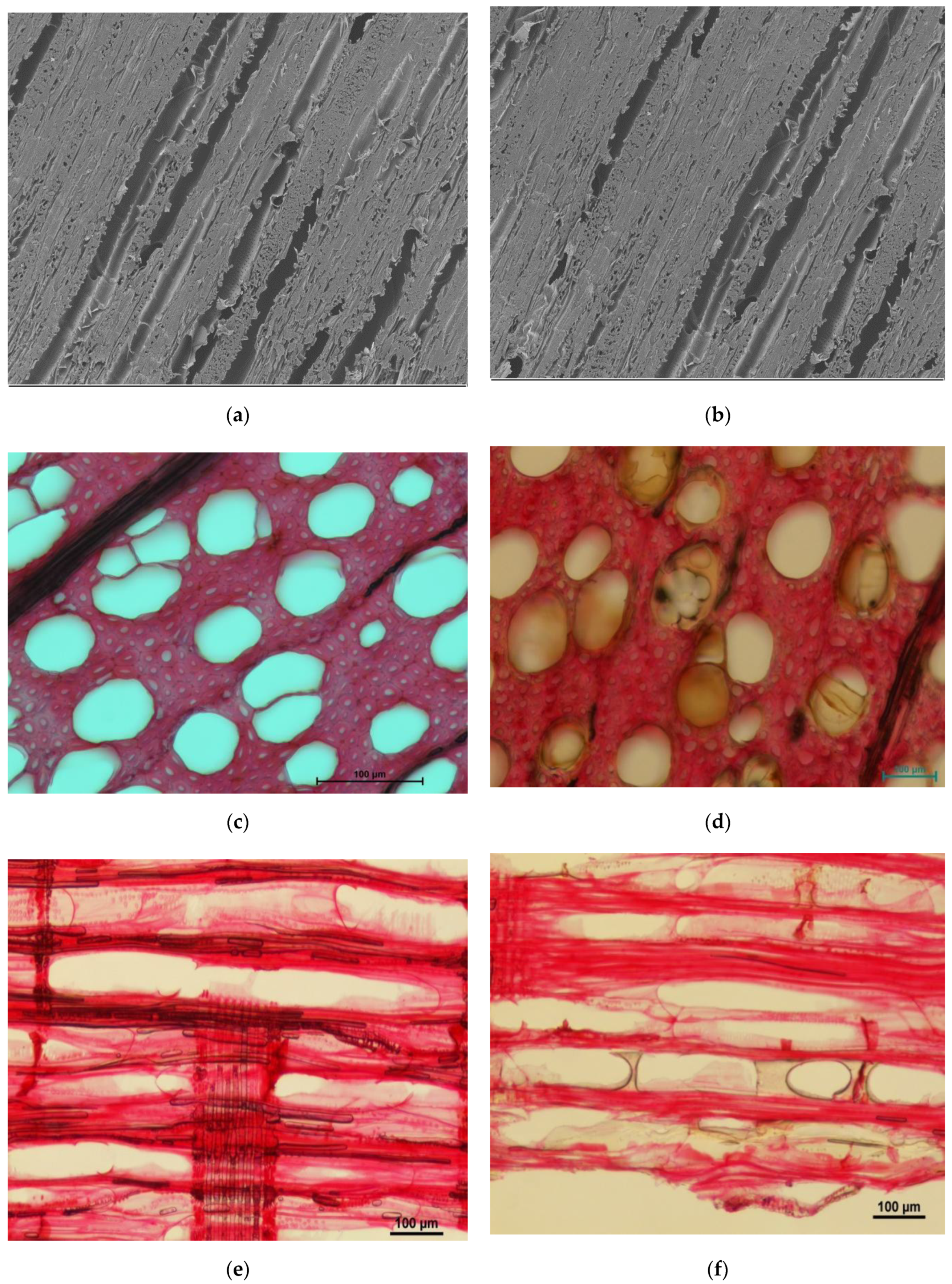 Forests 13 01980 g006