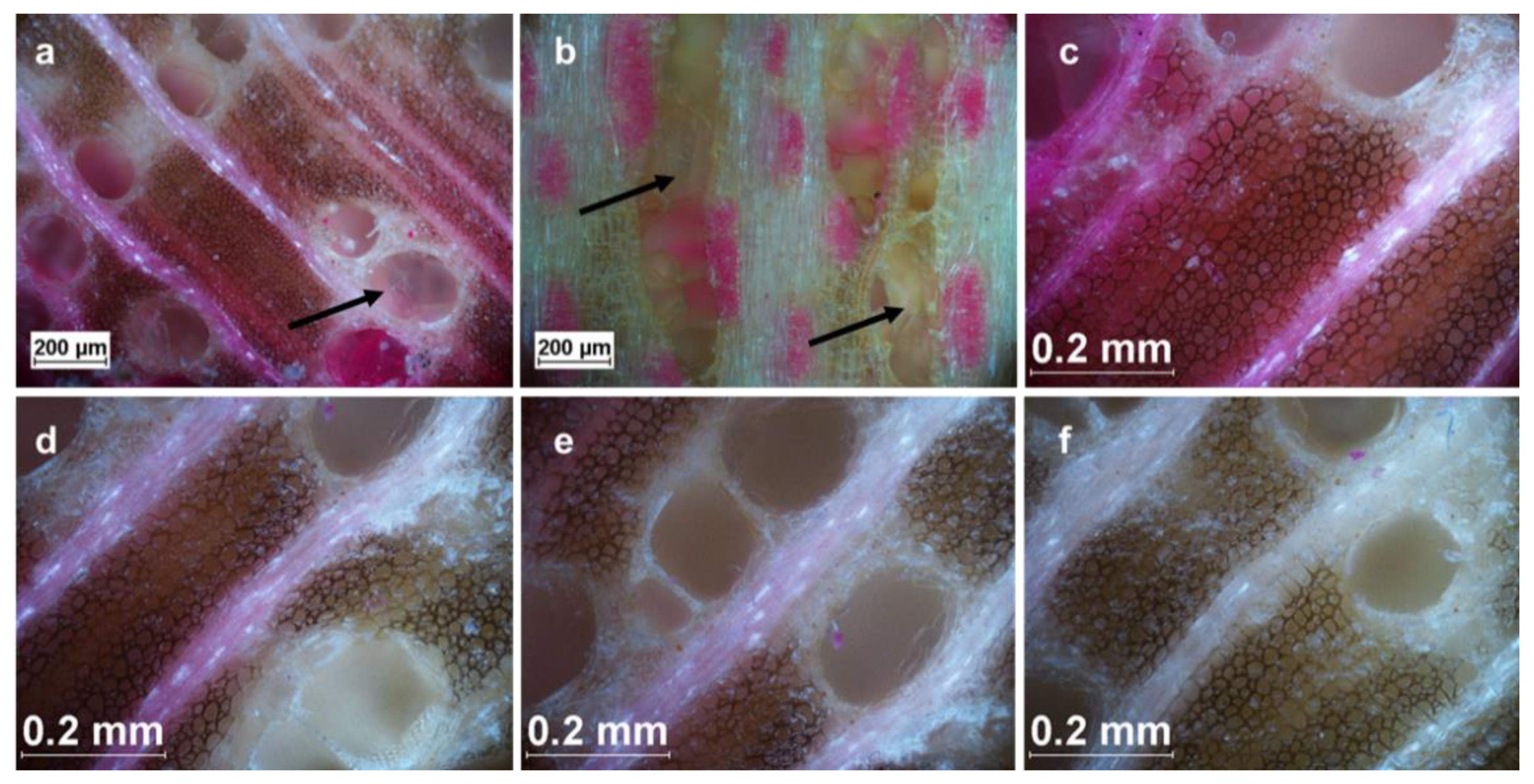 Forests 13 02036 g003