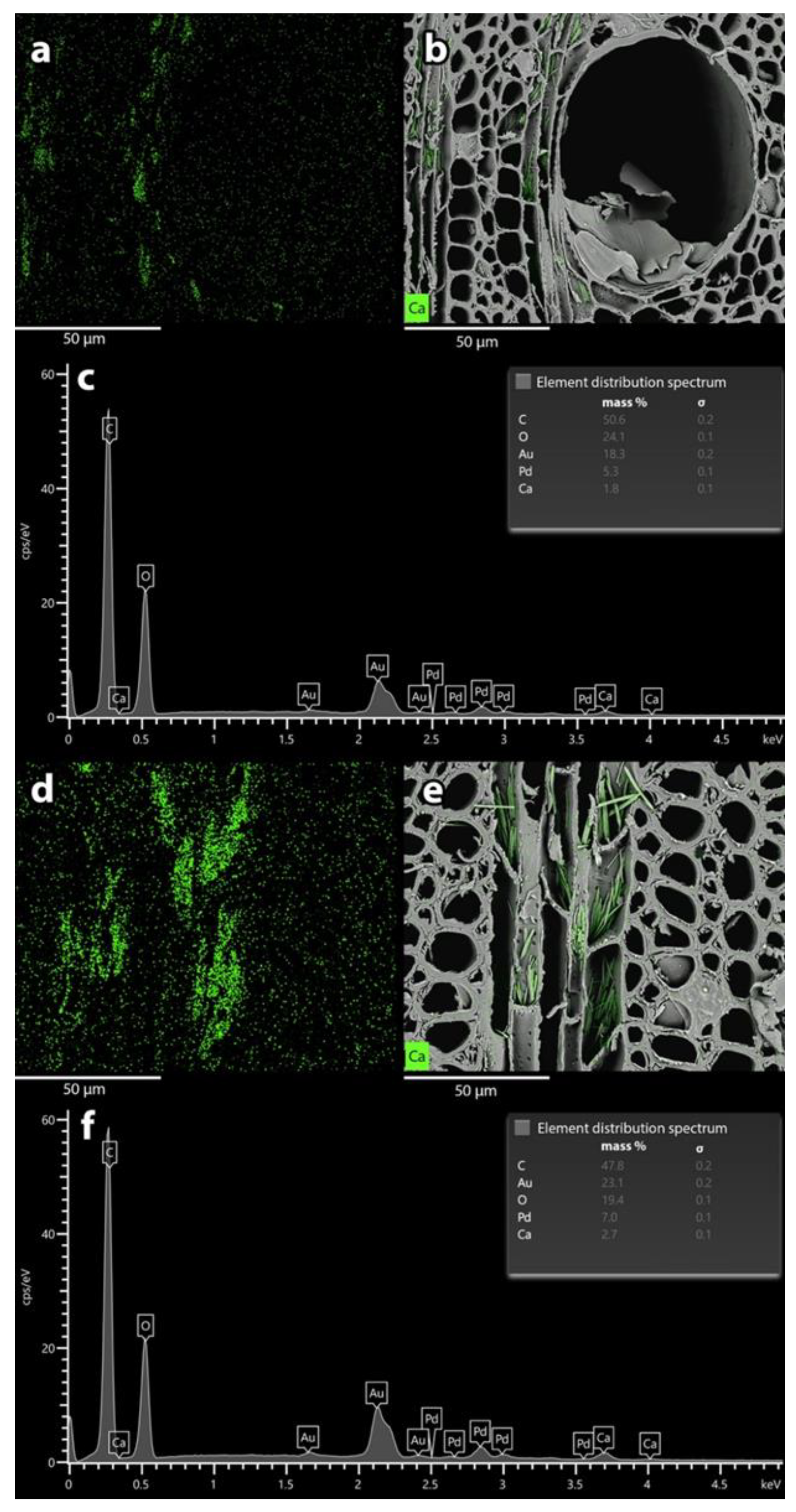 Forests 13 02036 g004