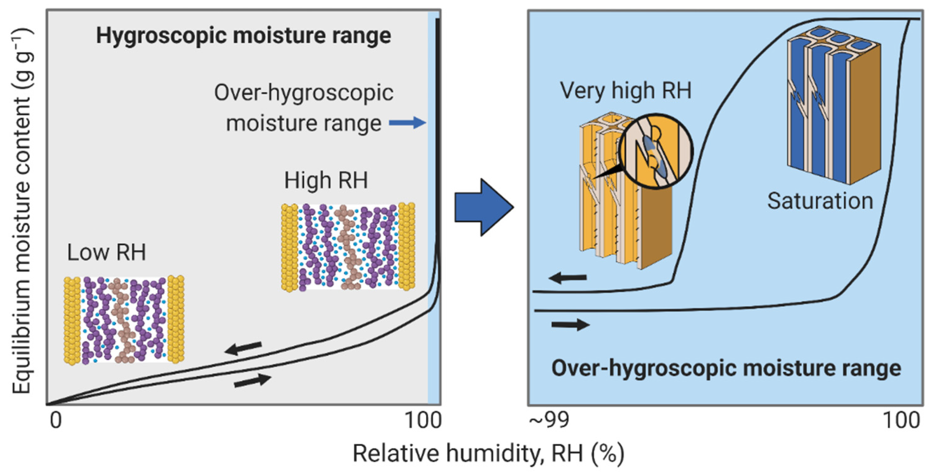 Forests 13 02051 g002