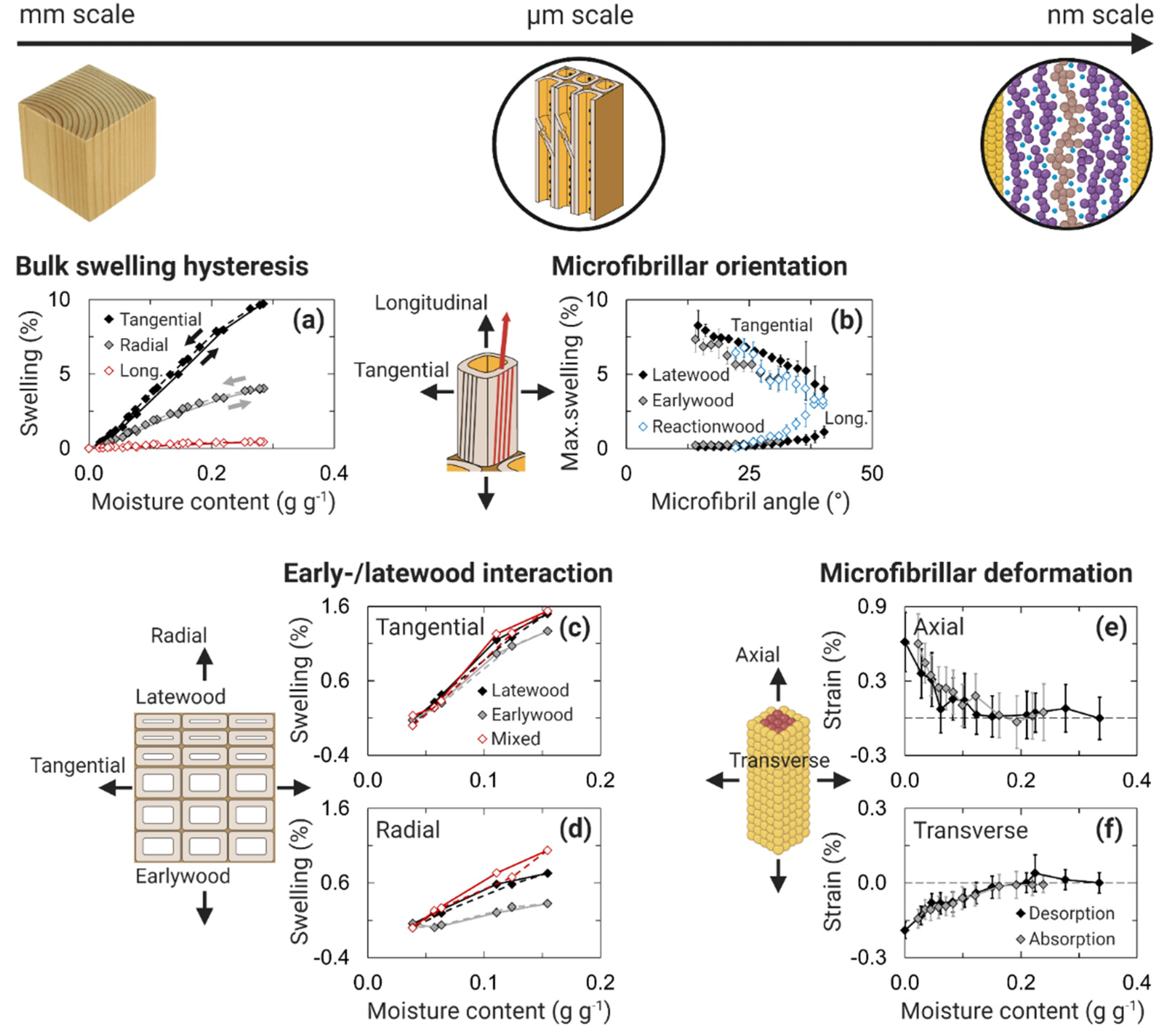 Forests 13 02051 g005
