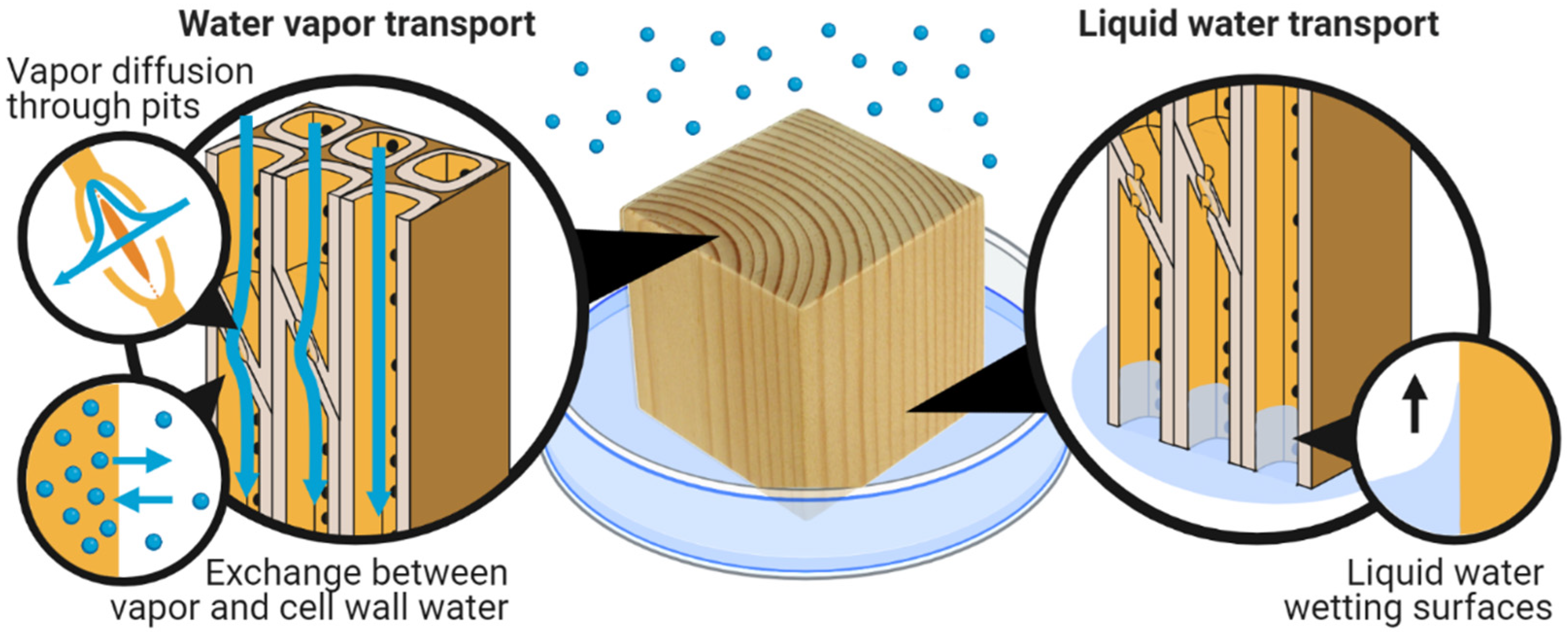 Forests 13 02051 g007