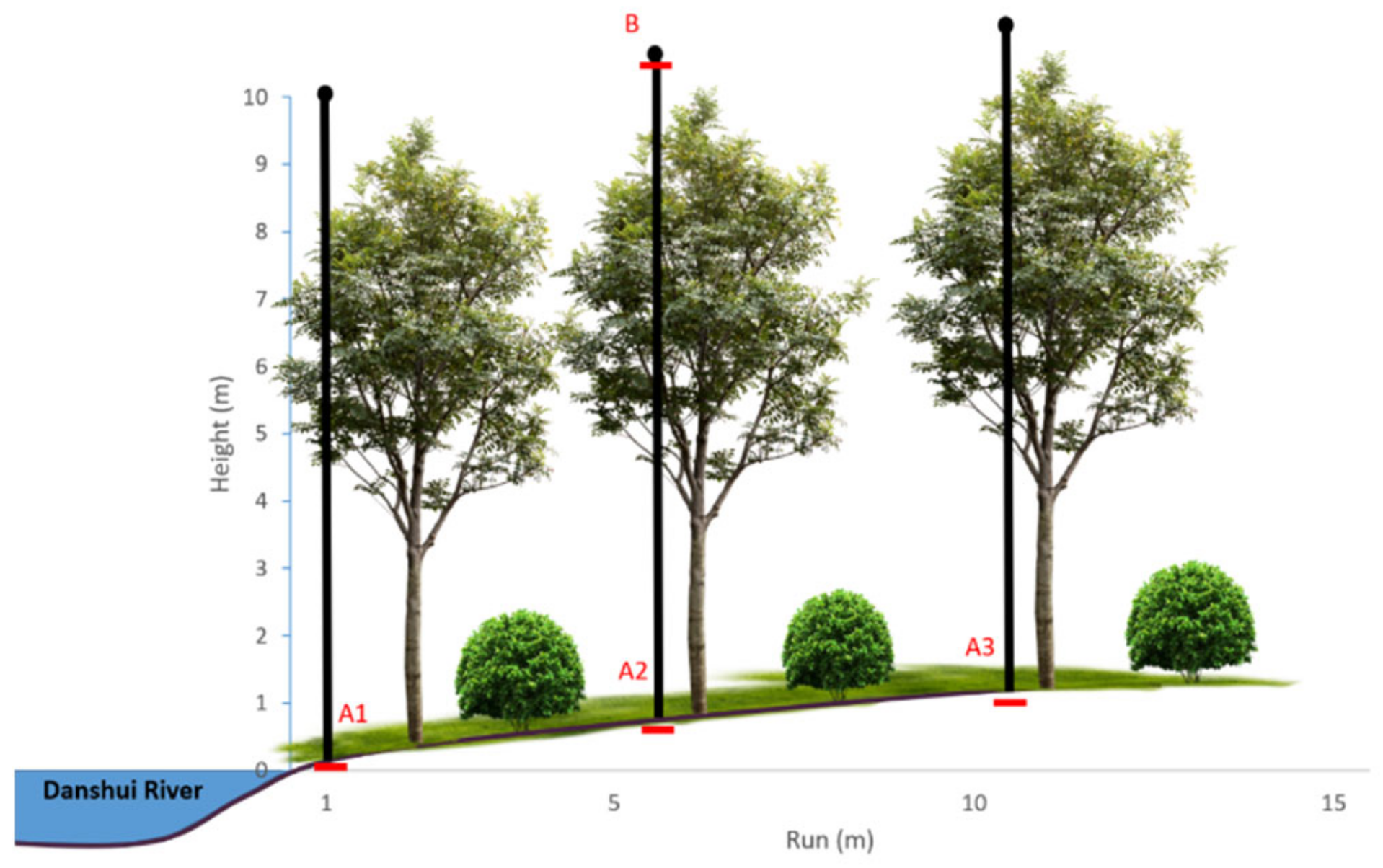 Forests 13 02062 g002