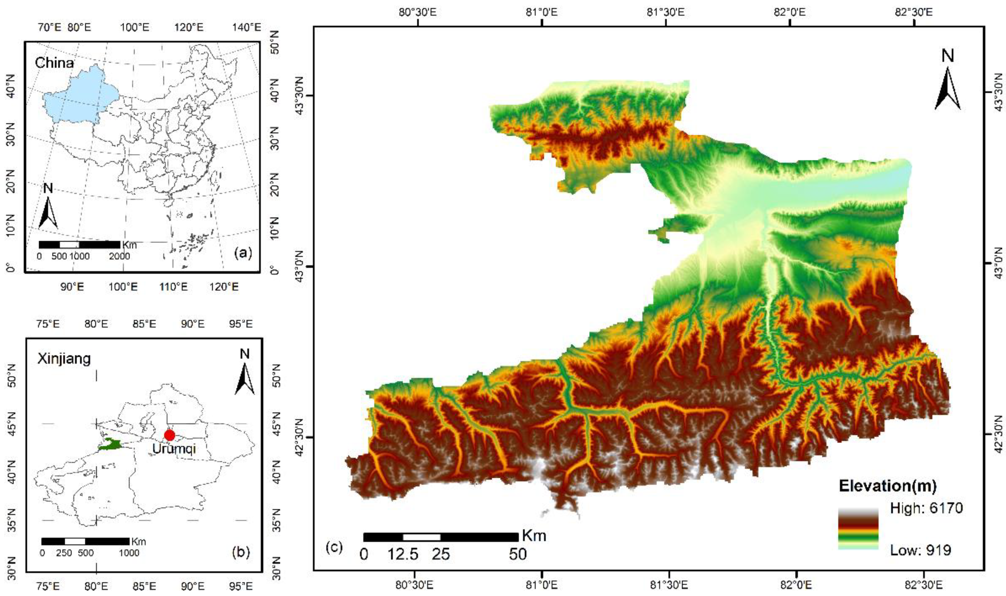 Forests 13 02066 g001 Forests 13 02066 g001