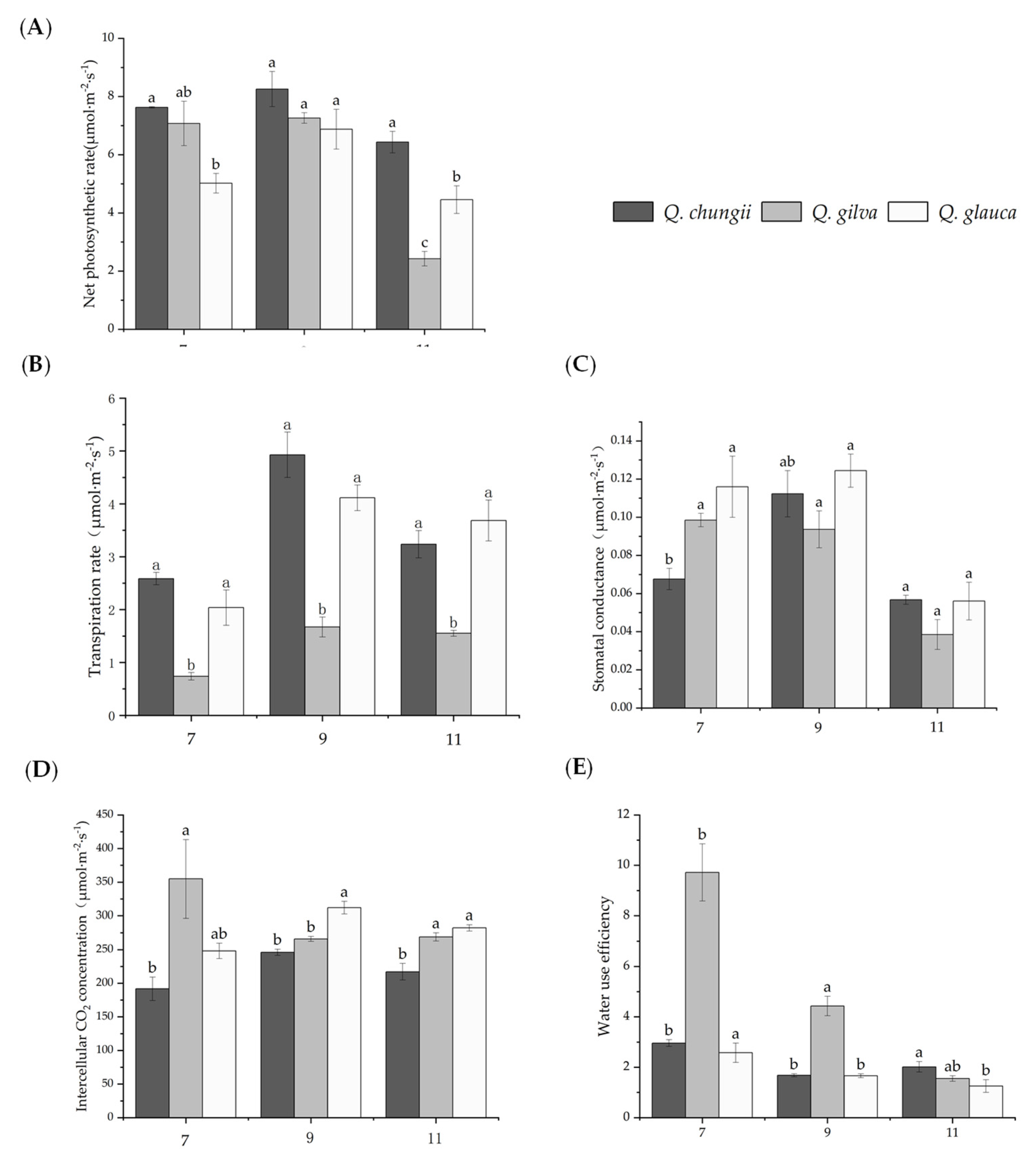 Forests 13 02067 g001 Forests 13 02067 g001
