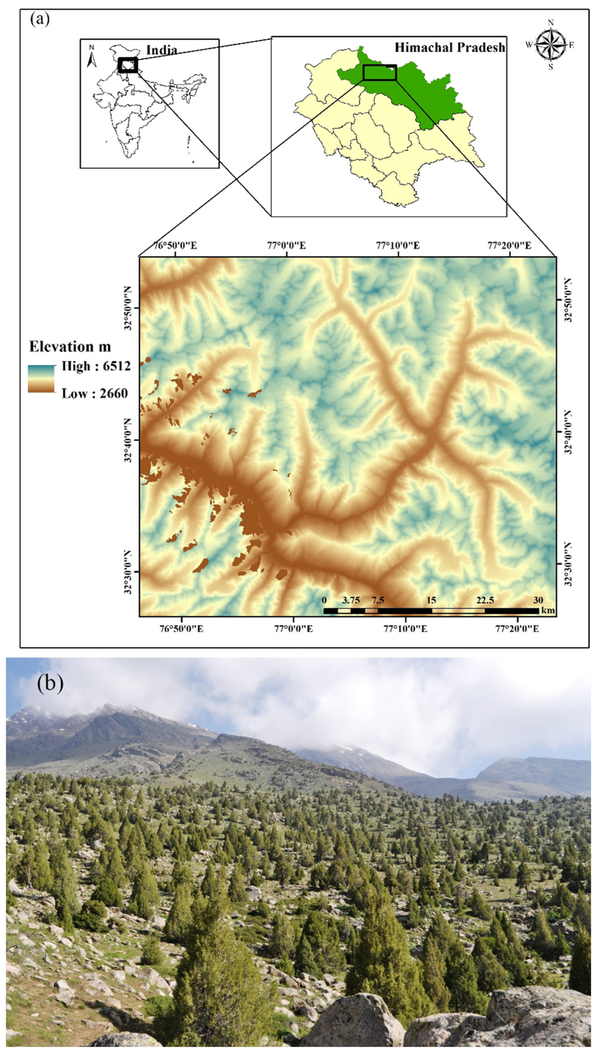 Forests 13 02088 g001
