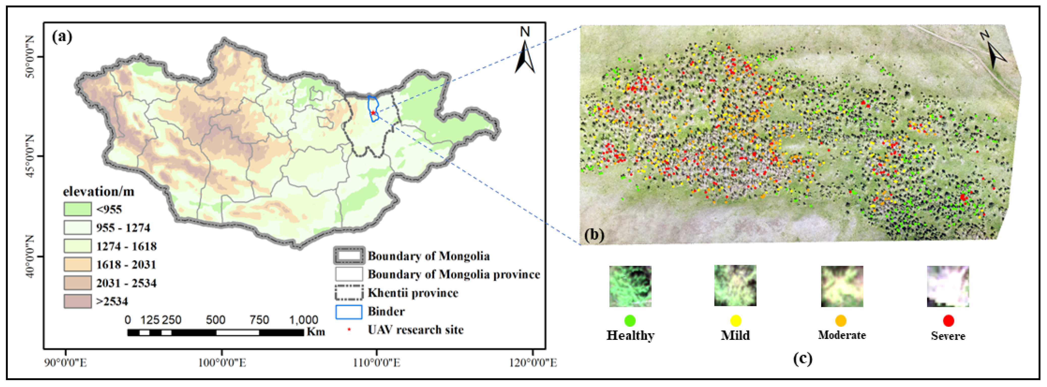 Forests 13 02104 g001 Forests 13 02104 g001