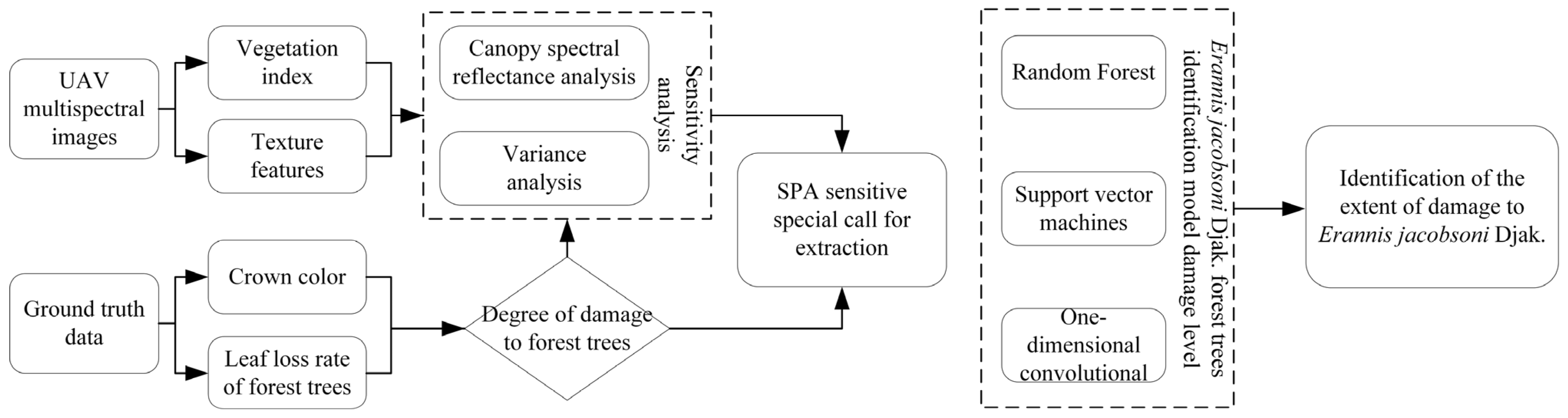 Forests 13 02104 g002 Forests 13 02104 g002