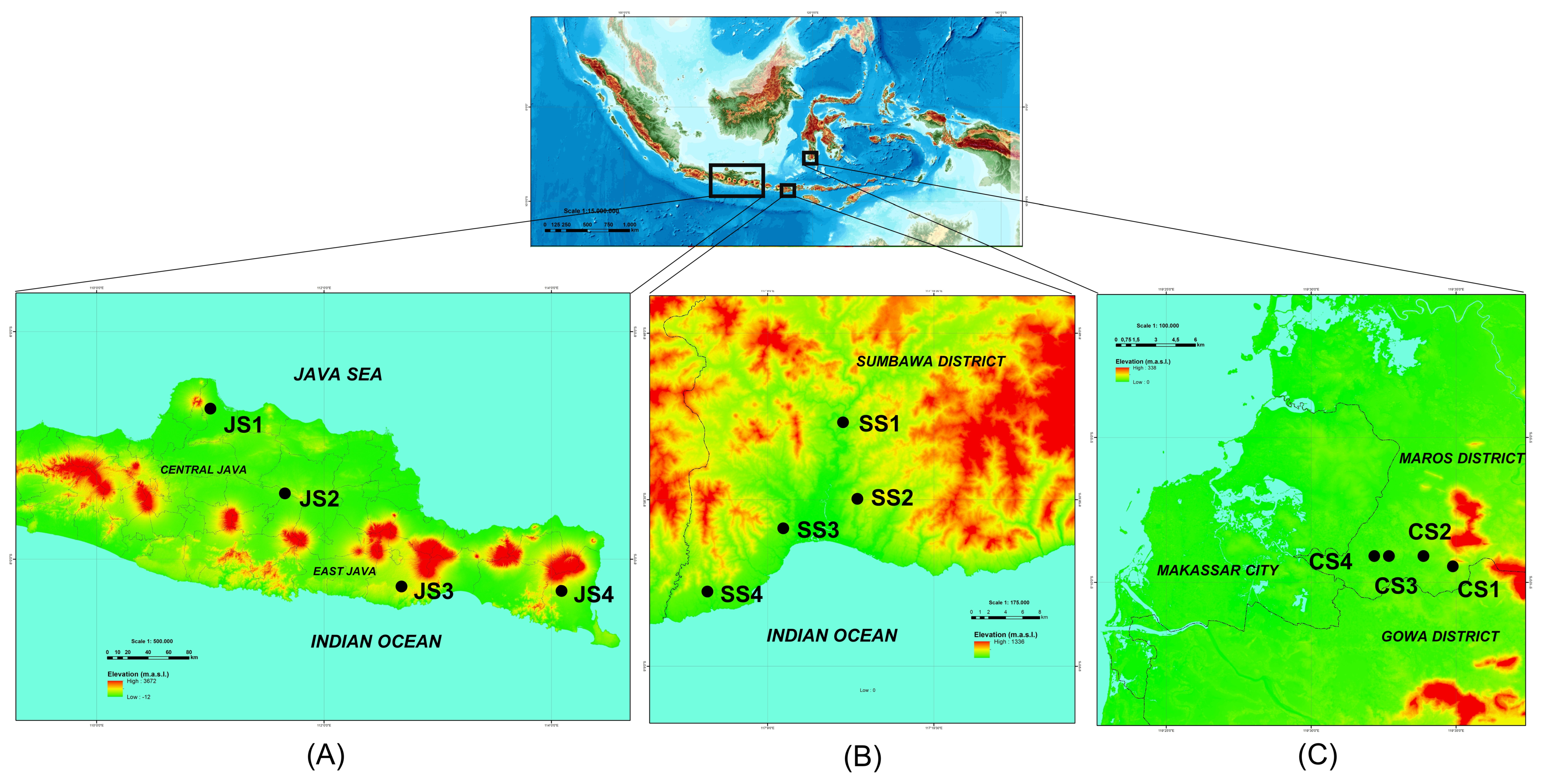 Forests 13 02111 g001 Forests 13 02111 g001
