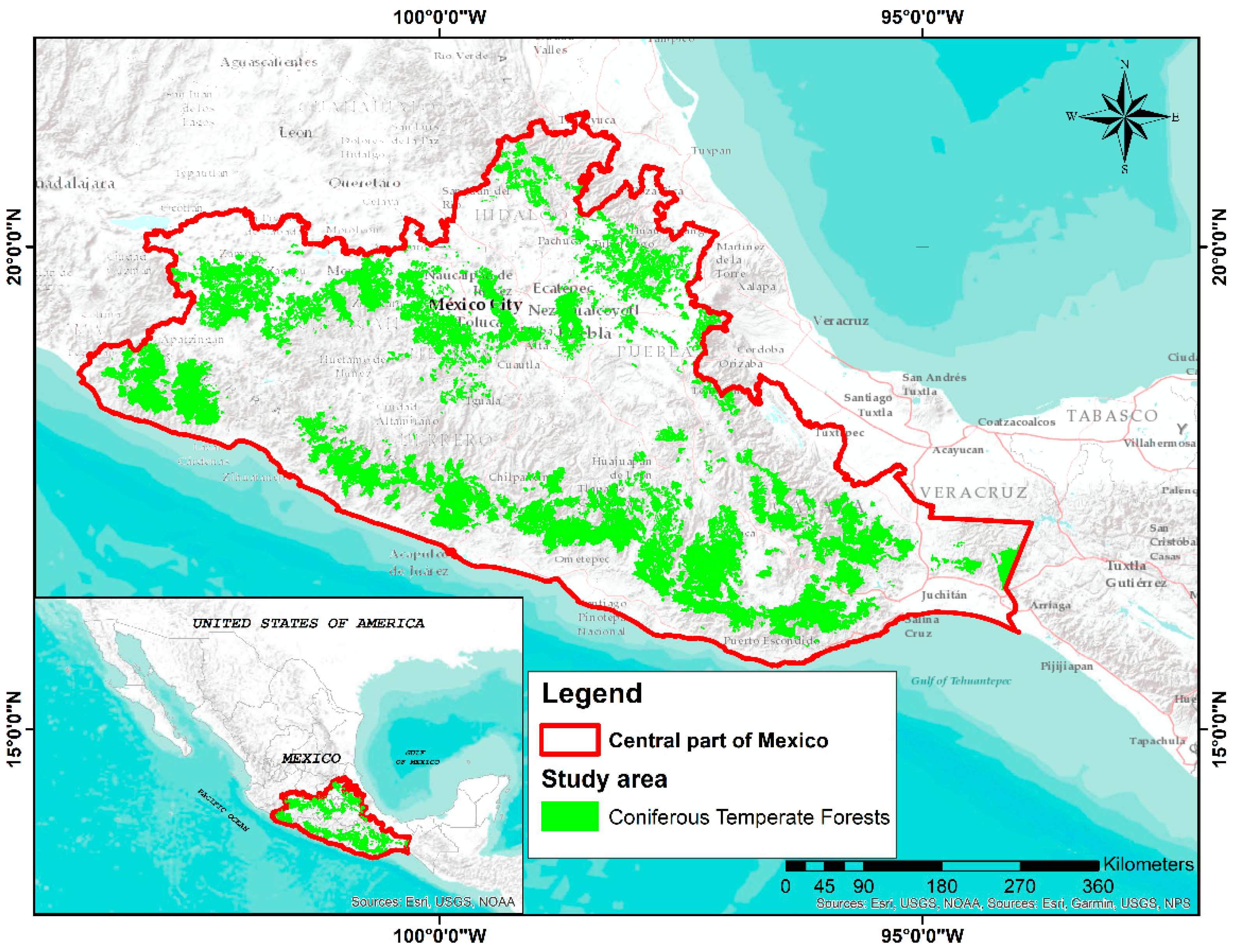 Forests 13 02112 g001