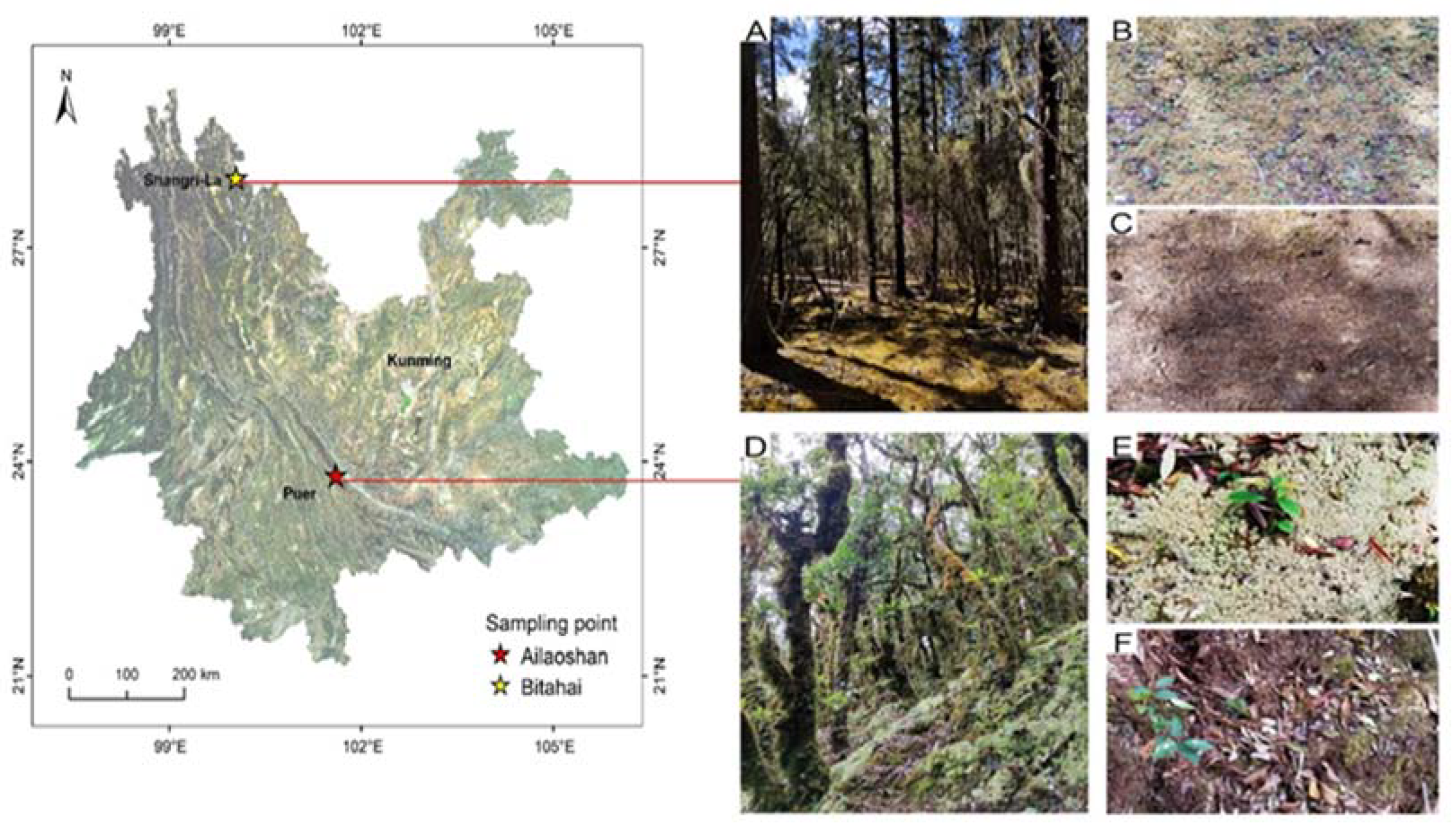 Forests 13 02125 g001